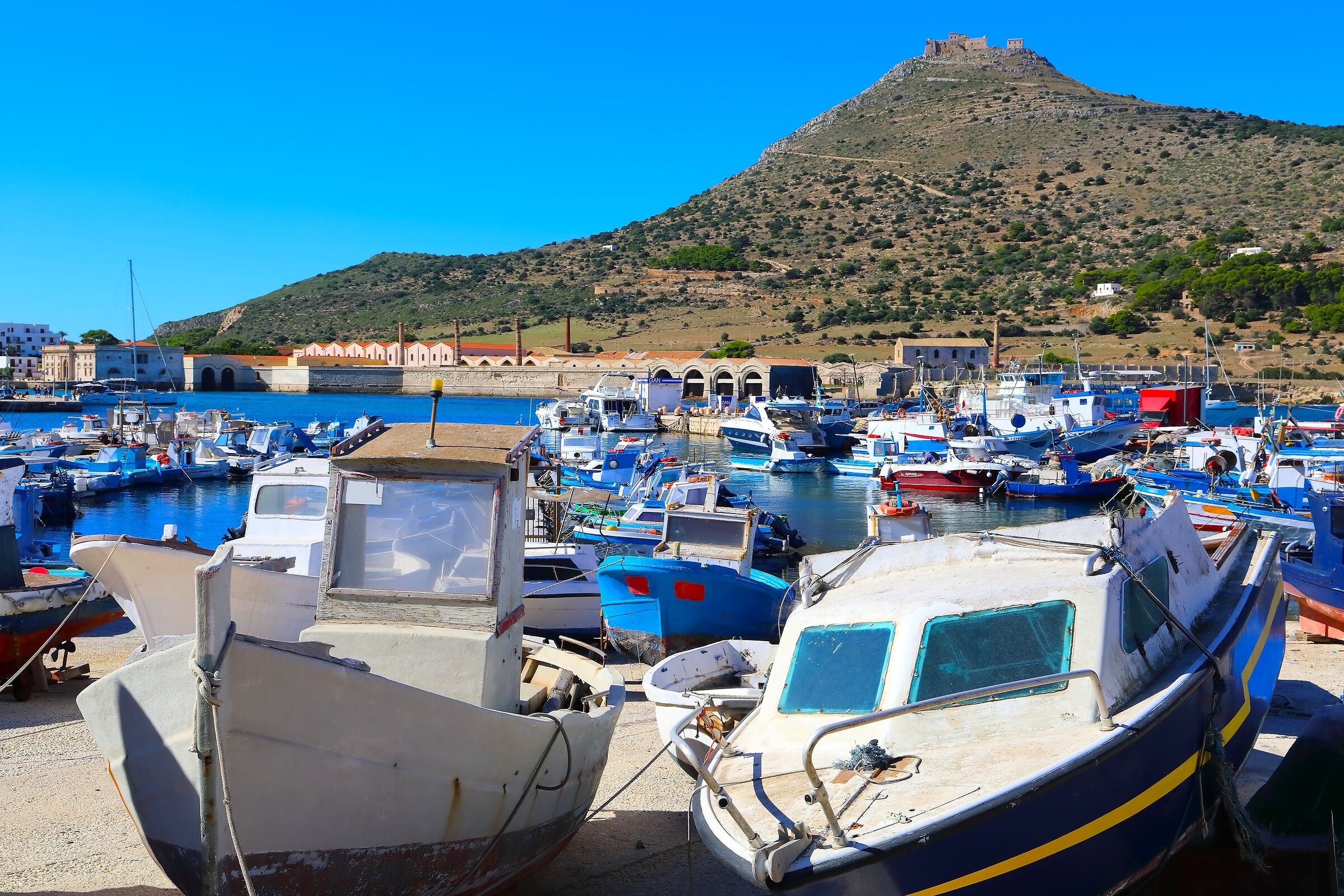 Il porto 08 ottobre 2025 - 0512