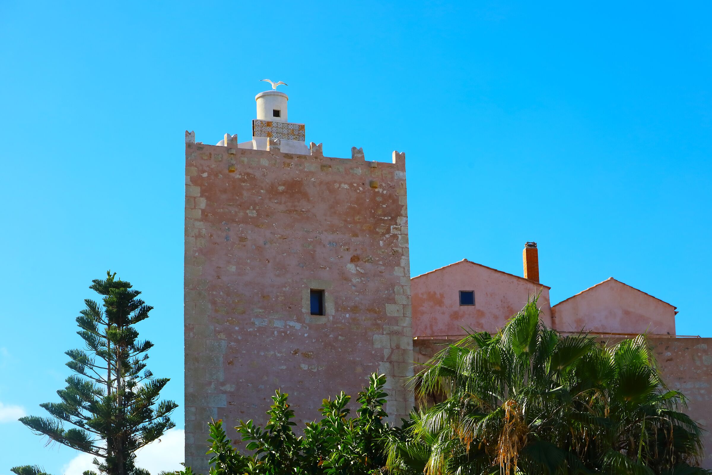 Il Santuario 06 ottobre 2025 - 0324