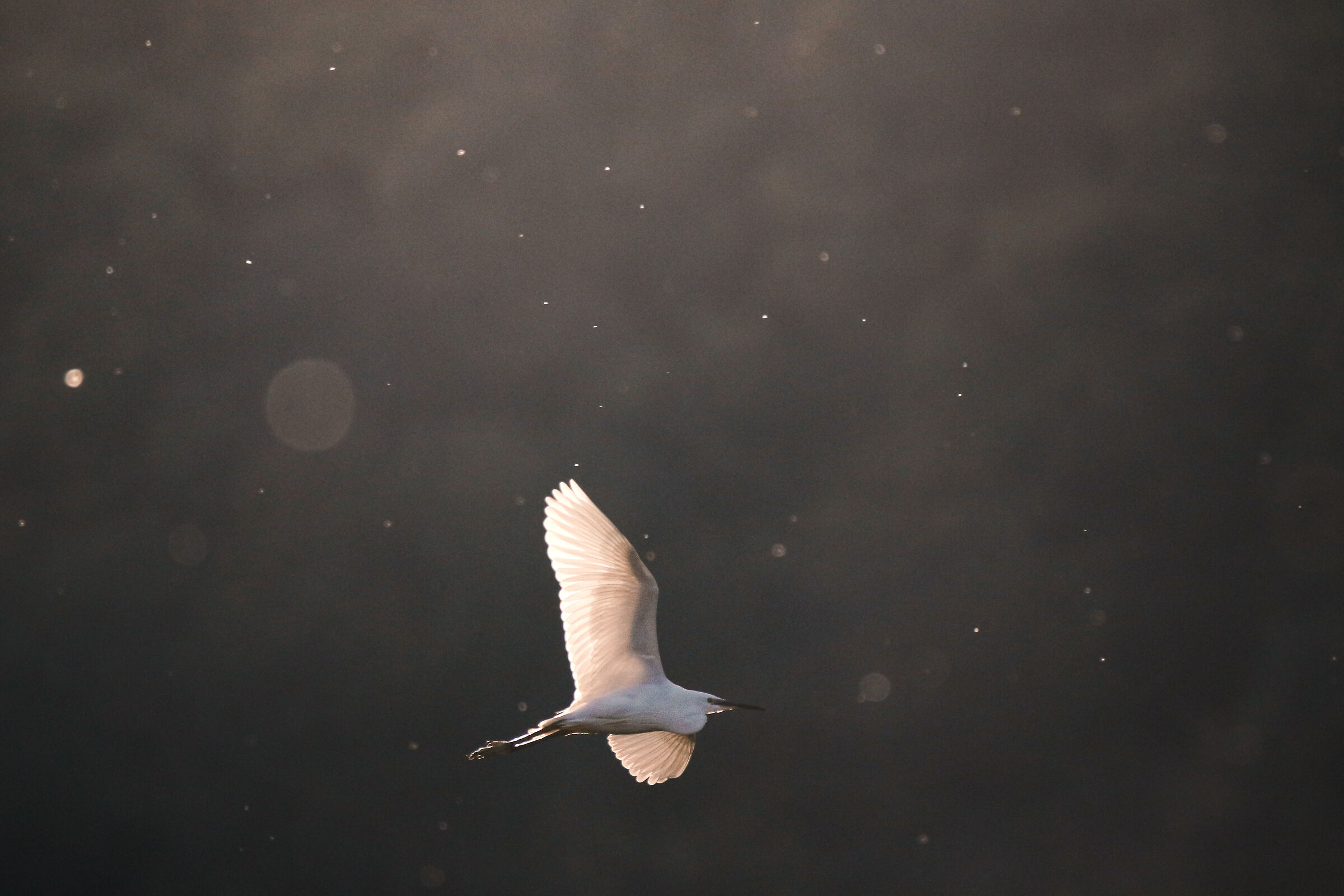 Untitled Photo
