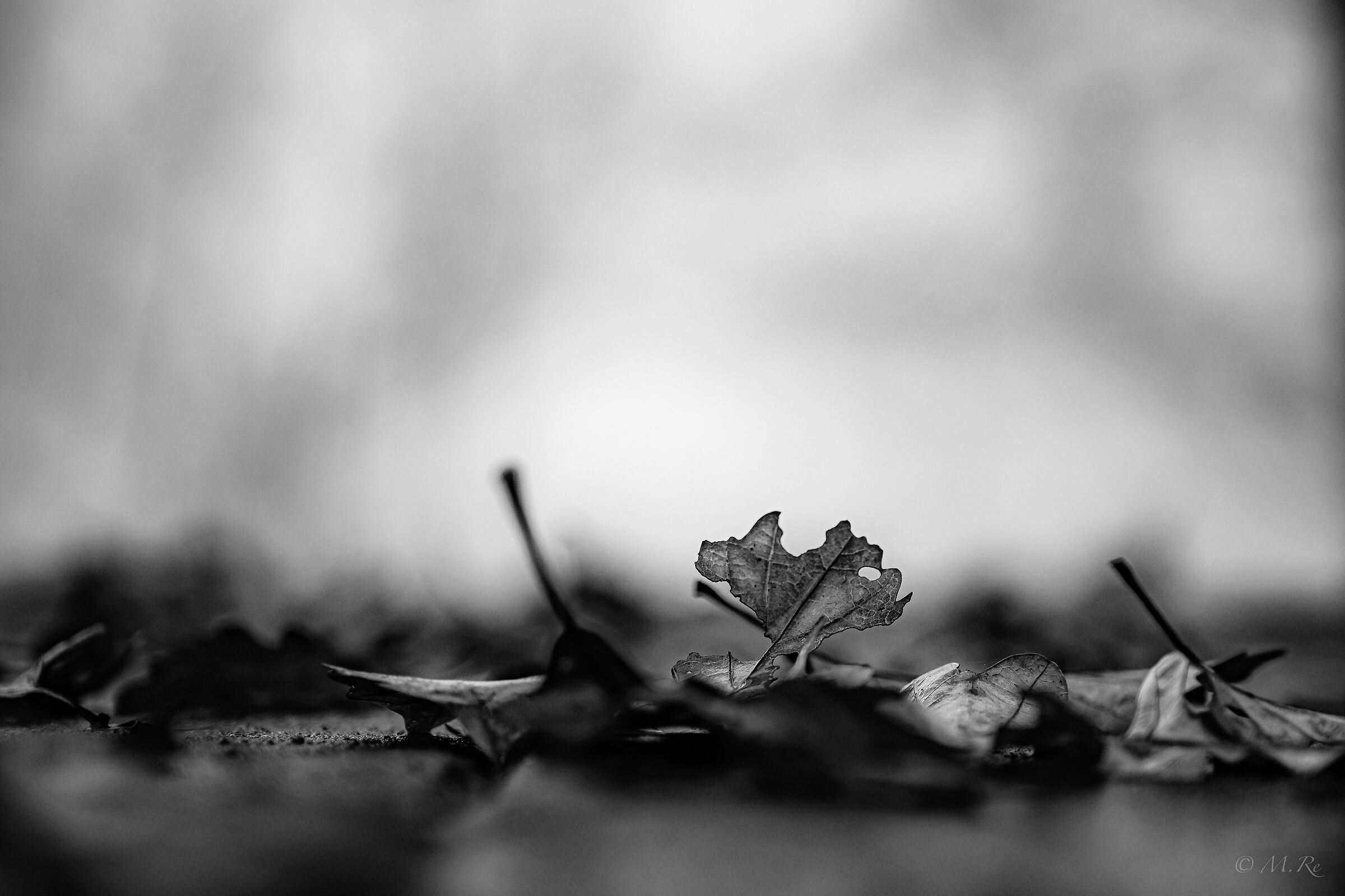 Untitled Photo