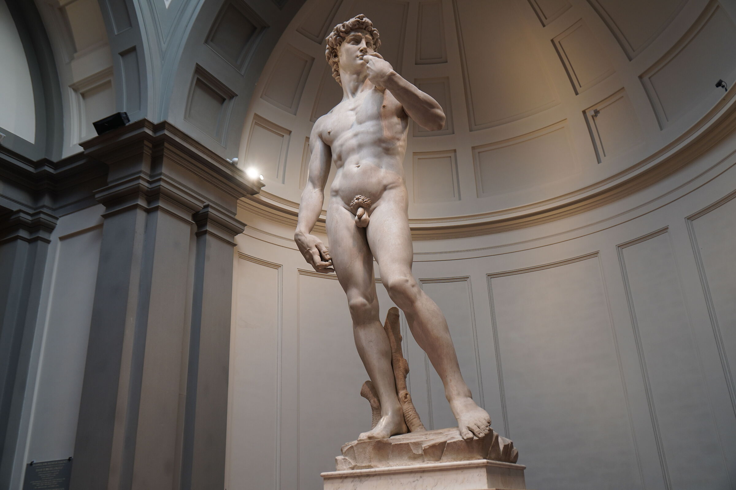 Michelangelo - David (1501/1504)