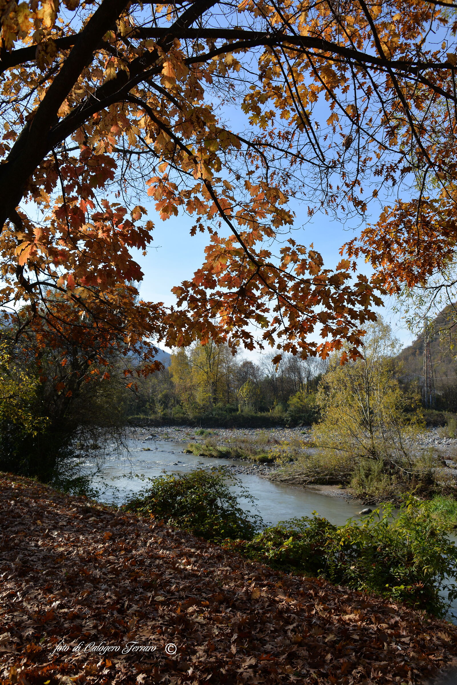 Lungo il fiume Serio a Cene BG