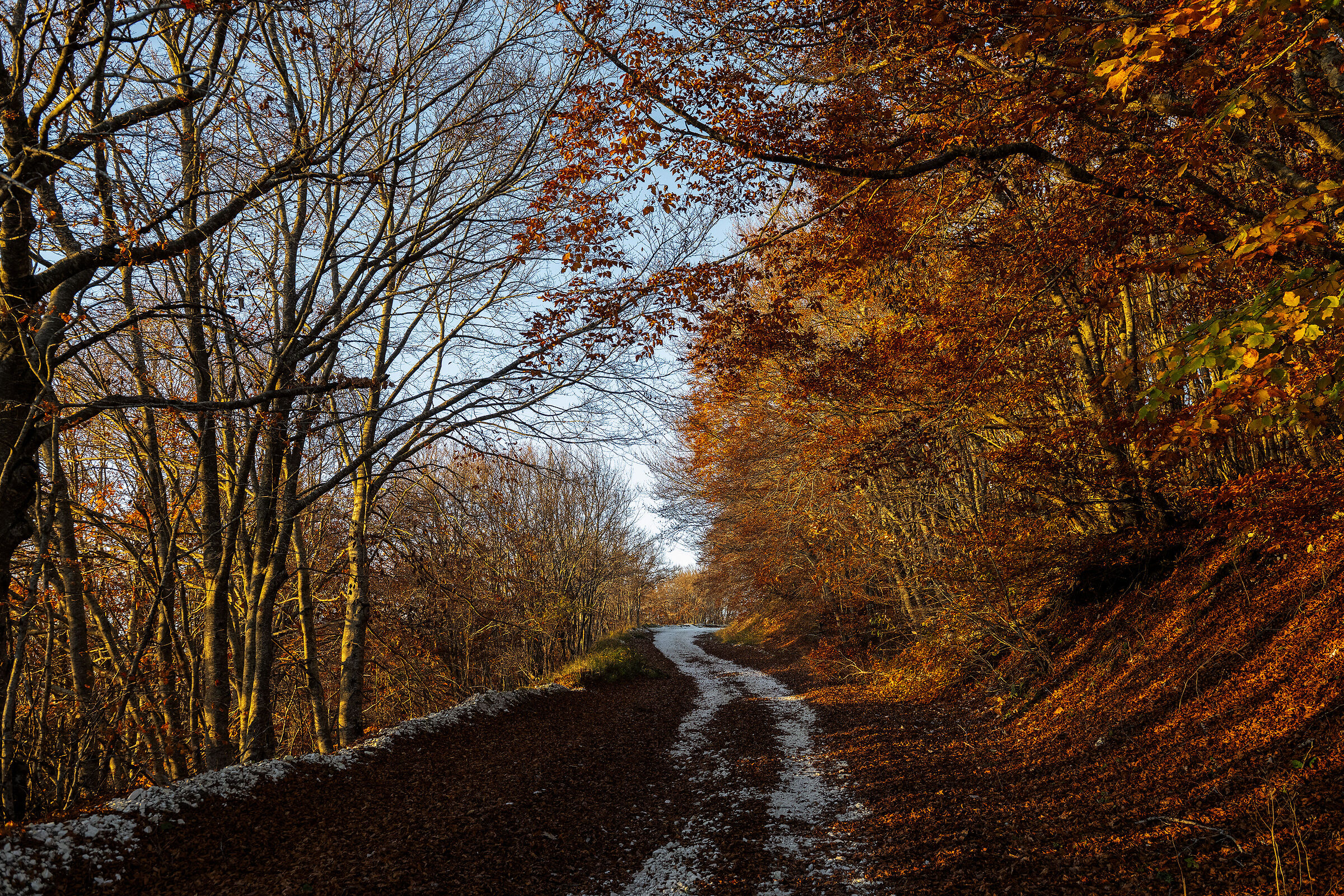 Umbrian Autumn