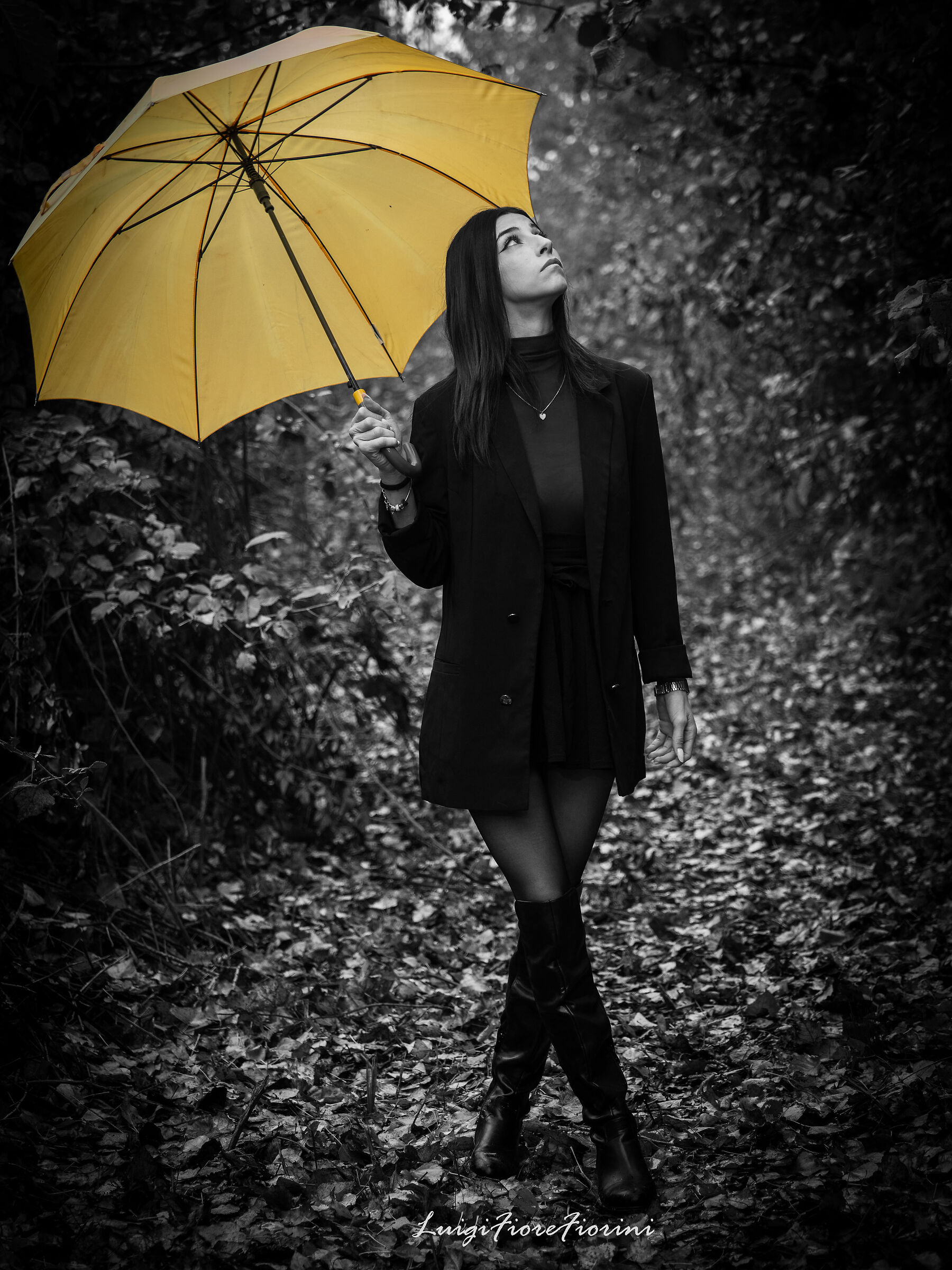 autumn