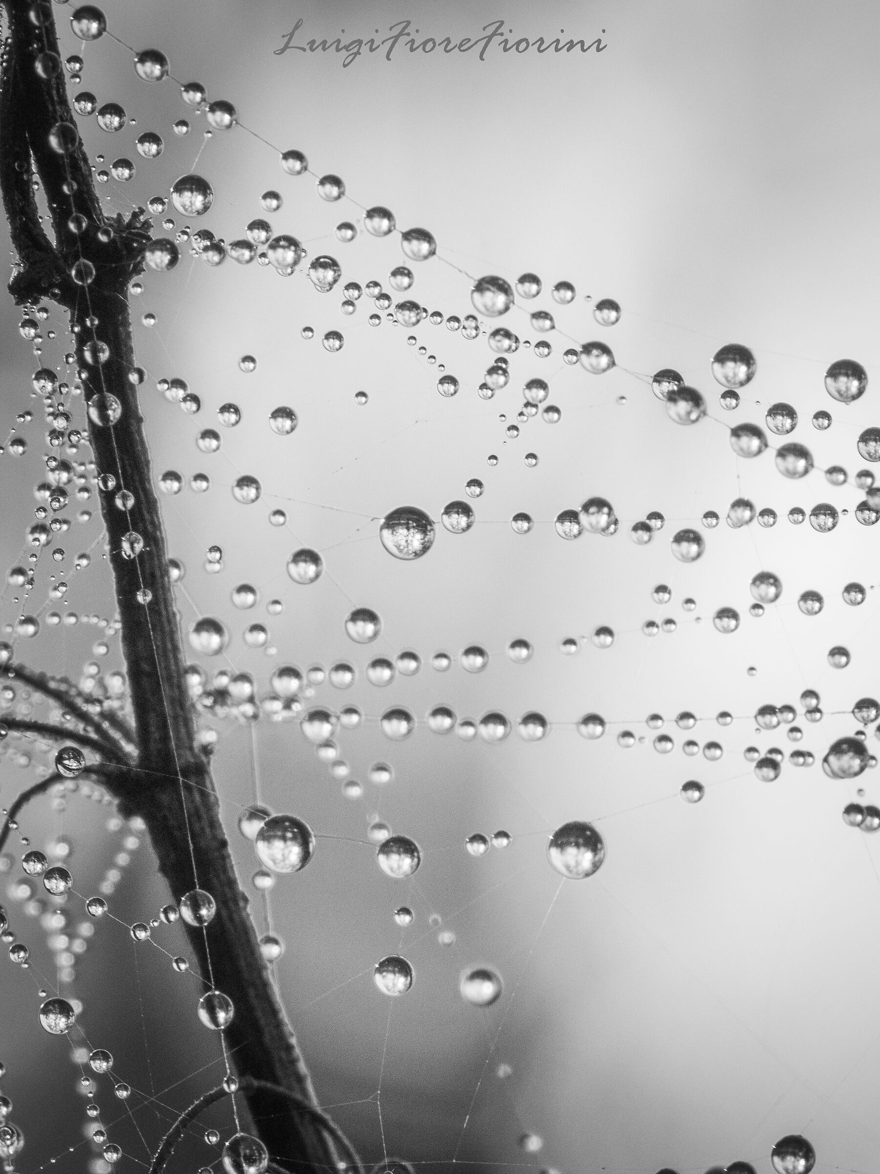 Drops