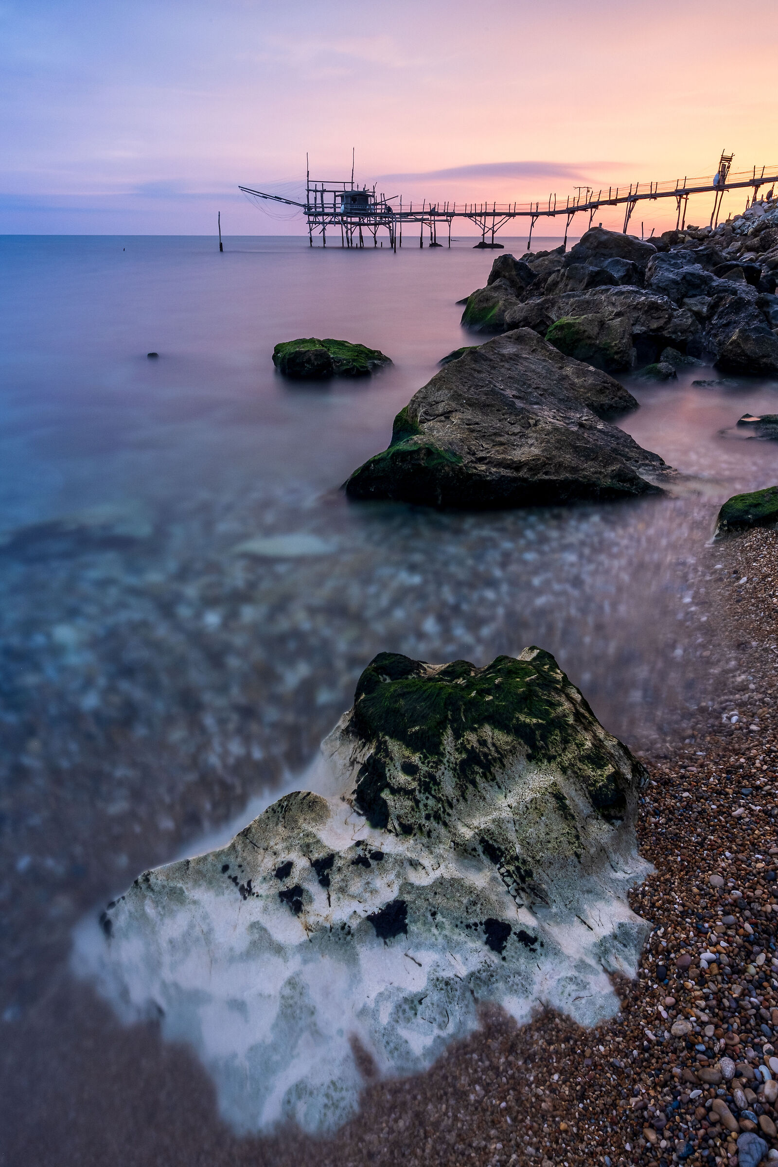 Alba Trabocco Turchino