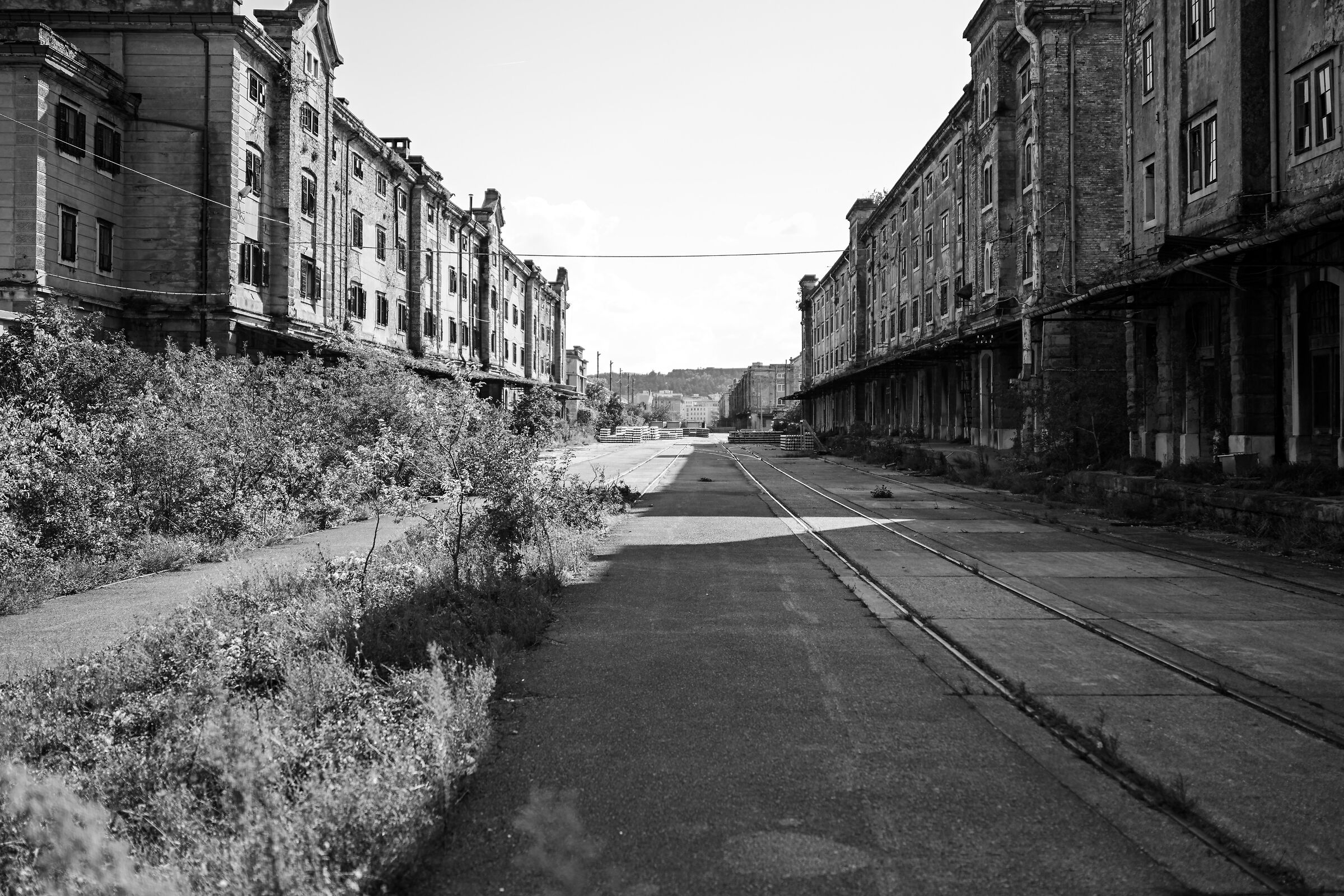 Portovecchio - Trieste