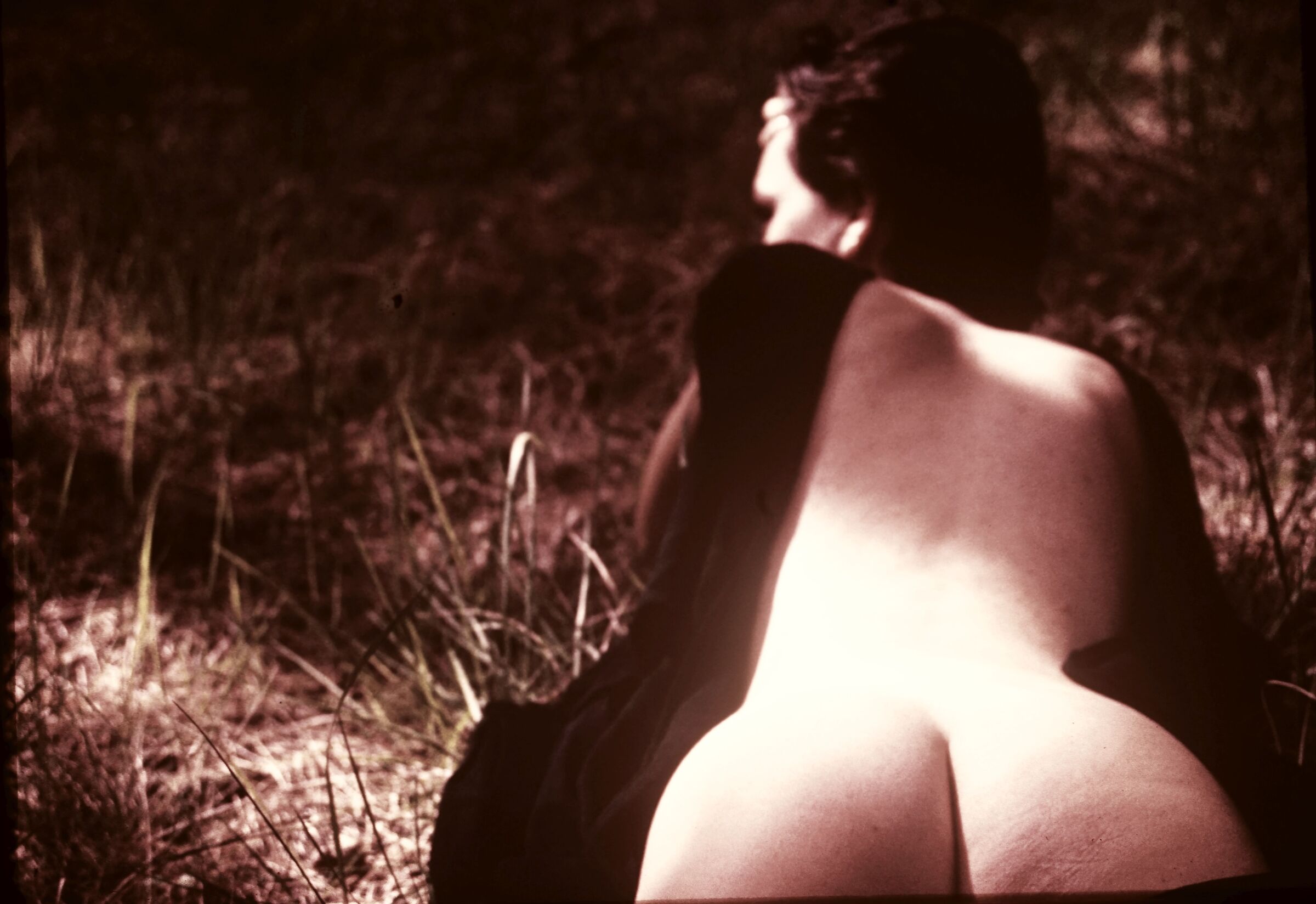 ... expanse
