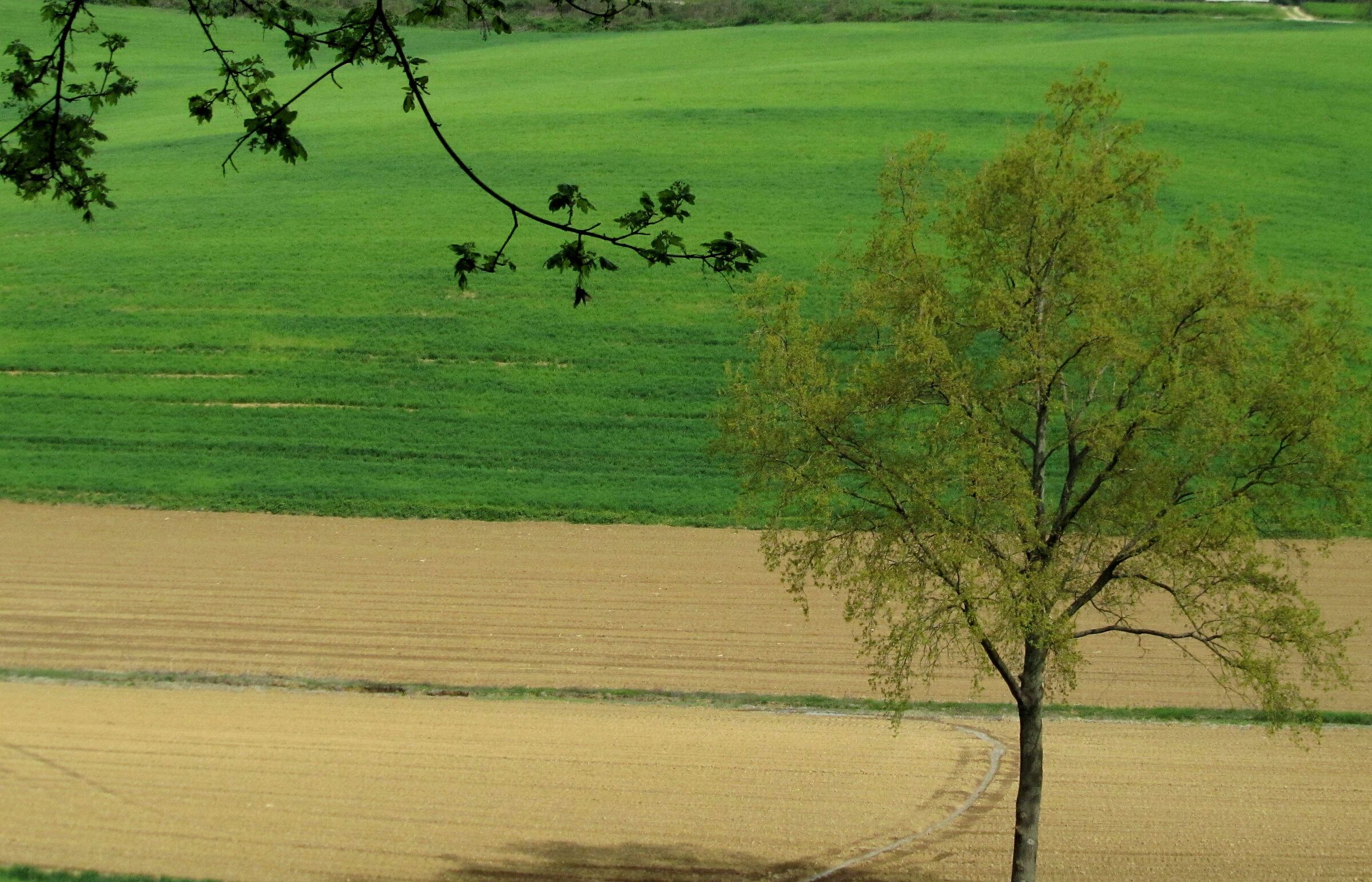 My first photo with Canon