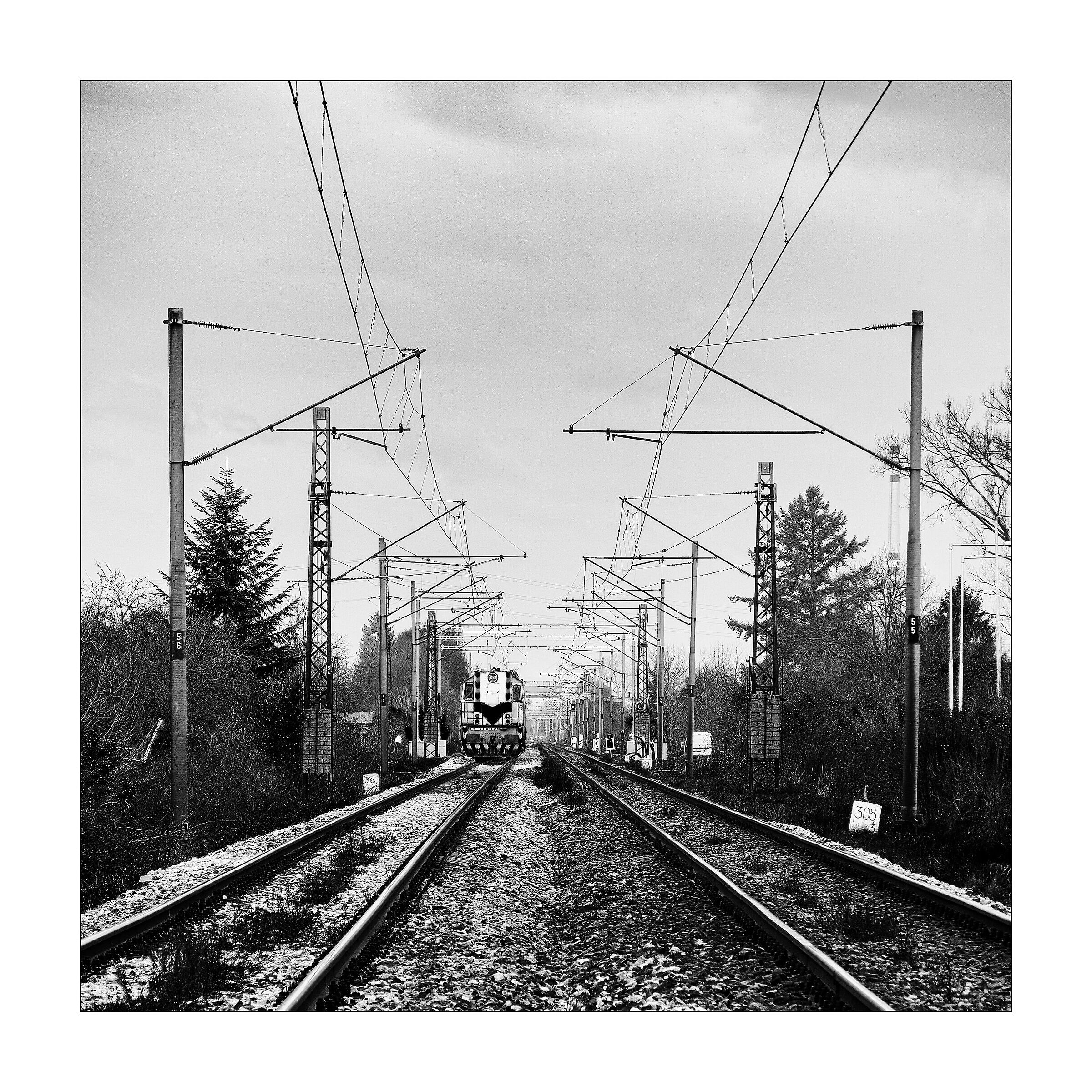 Scappiamo, sta arrivando!