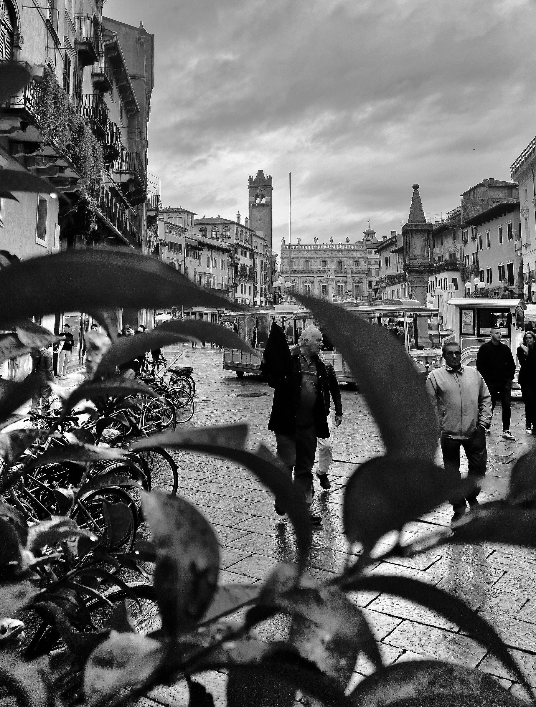 Movimento