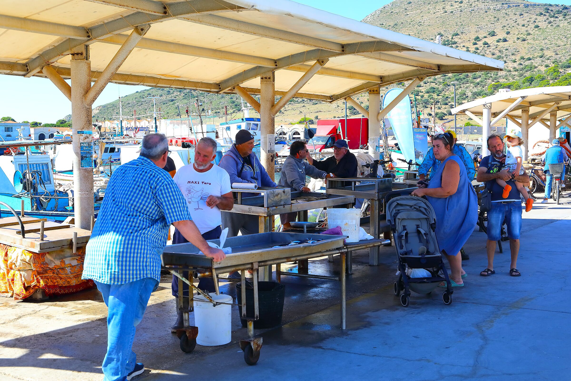 Mercato del pesce 08 ottobre 2025 - 0516