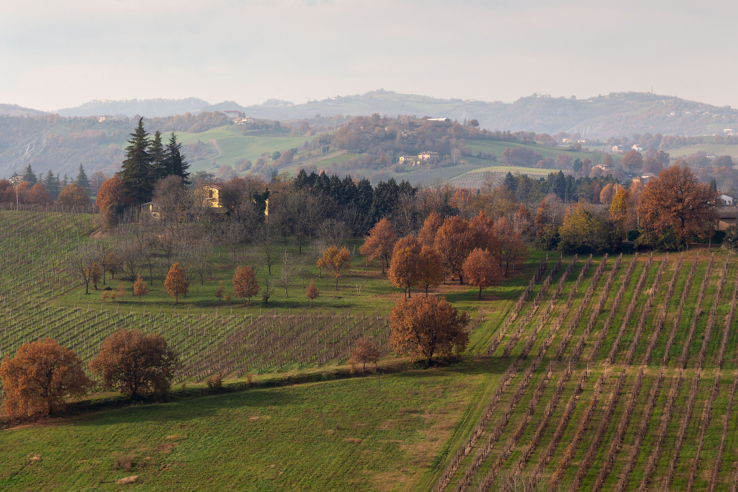 Estate di San Martino