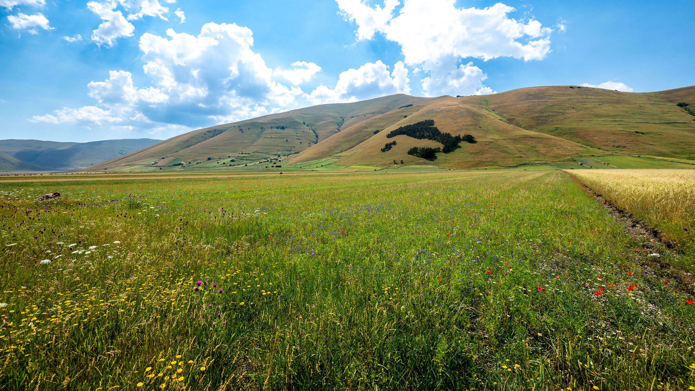 Castelluccio di Norcia