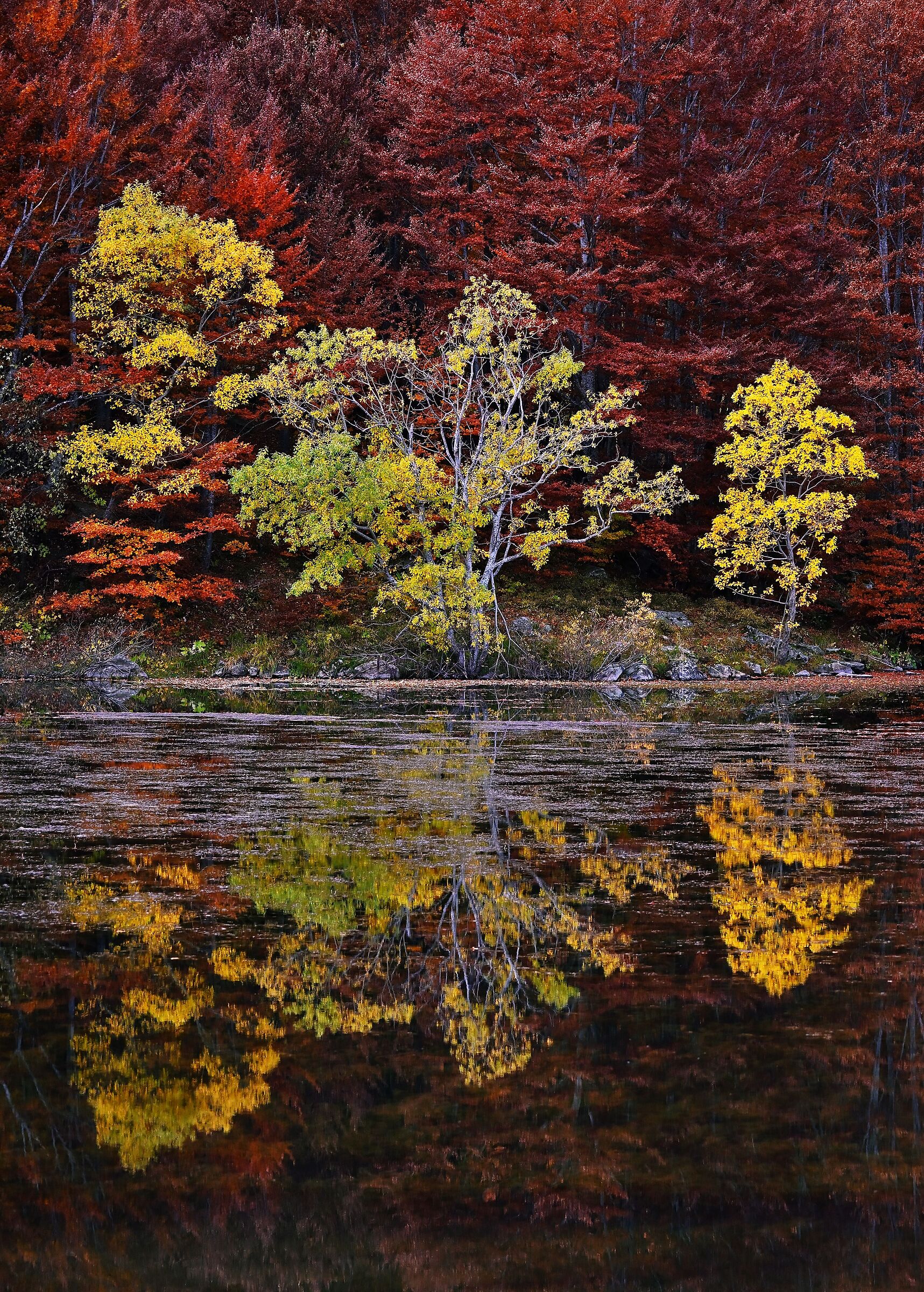 Autumnal Triad