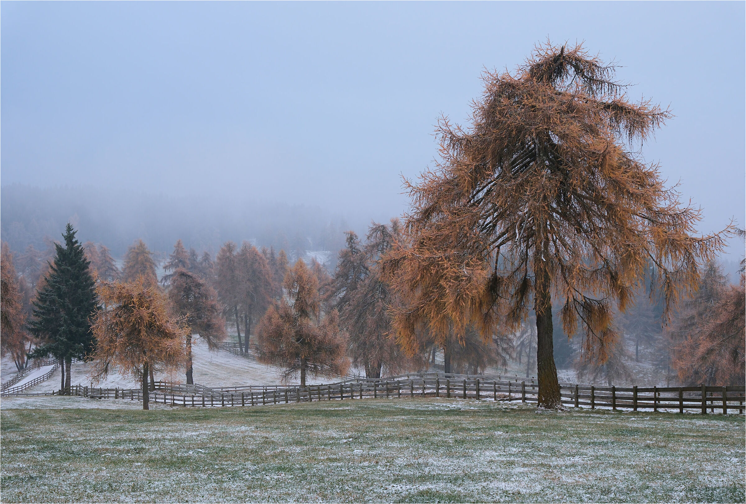 -tra autunno e inverno-