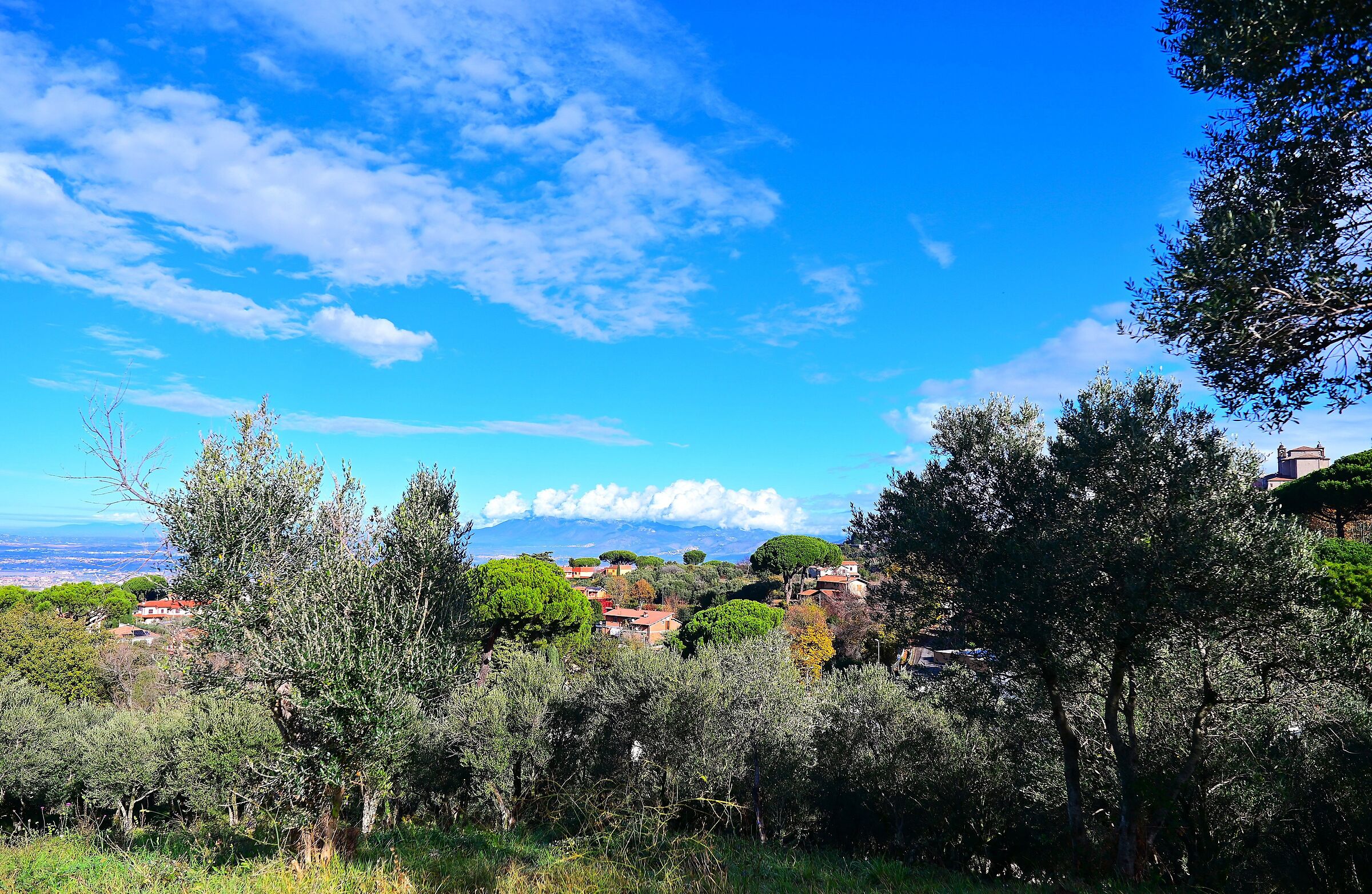 Castelli Romani