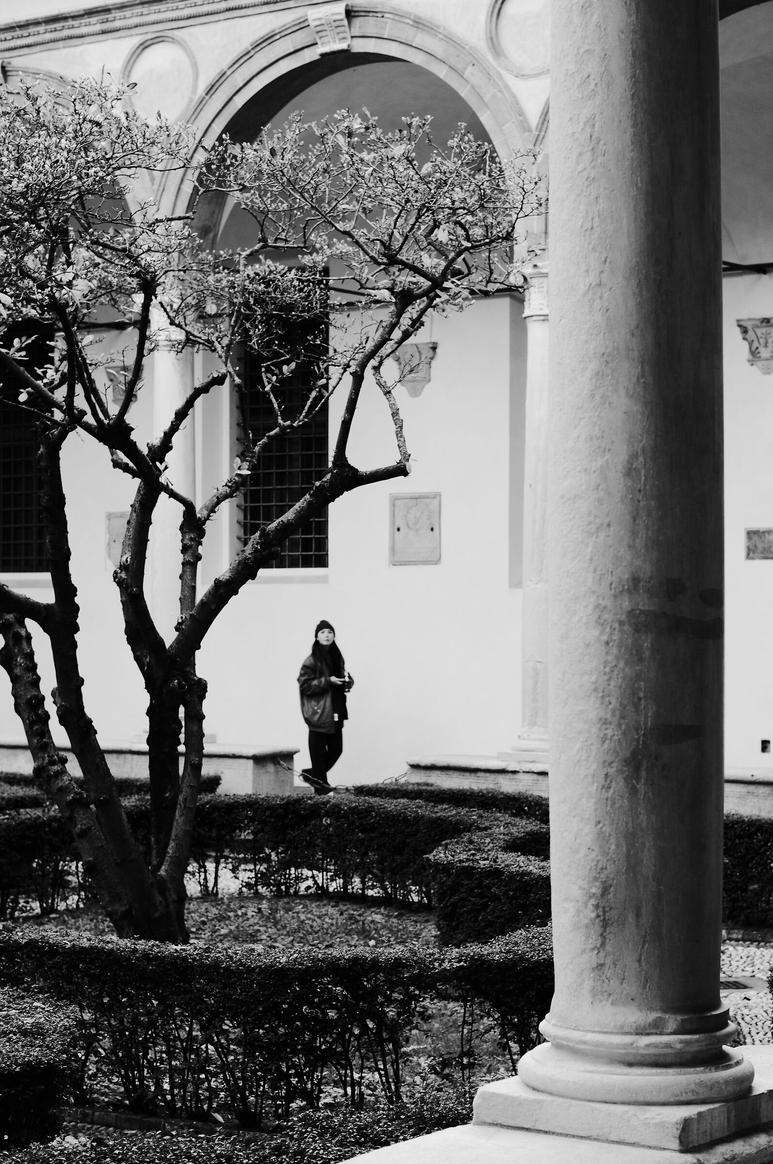 Chiostro del Bramante