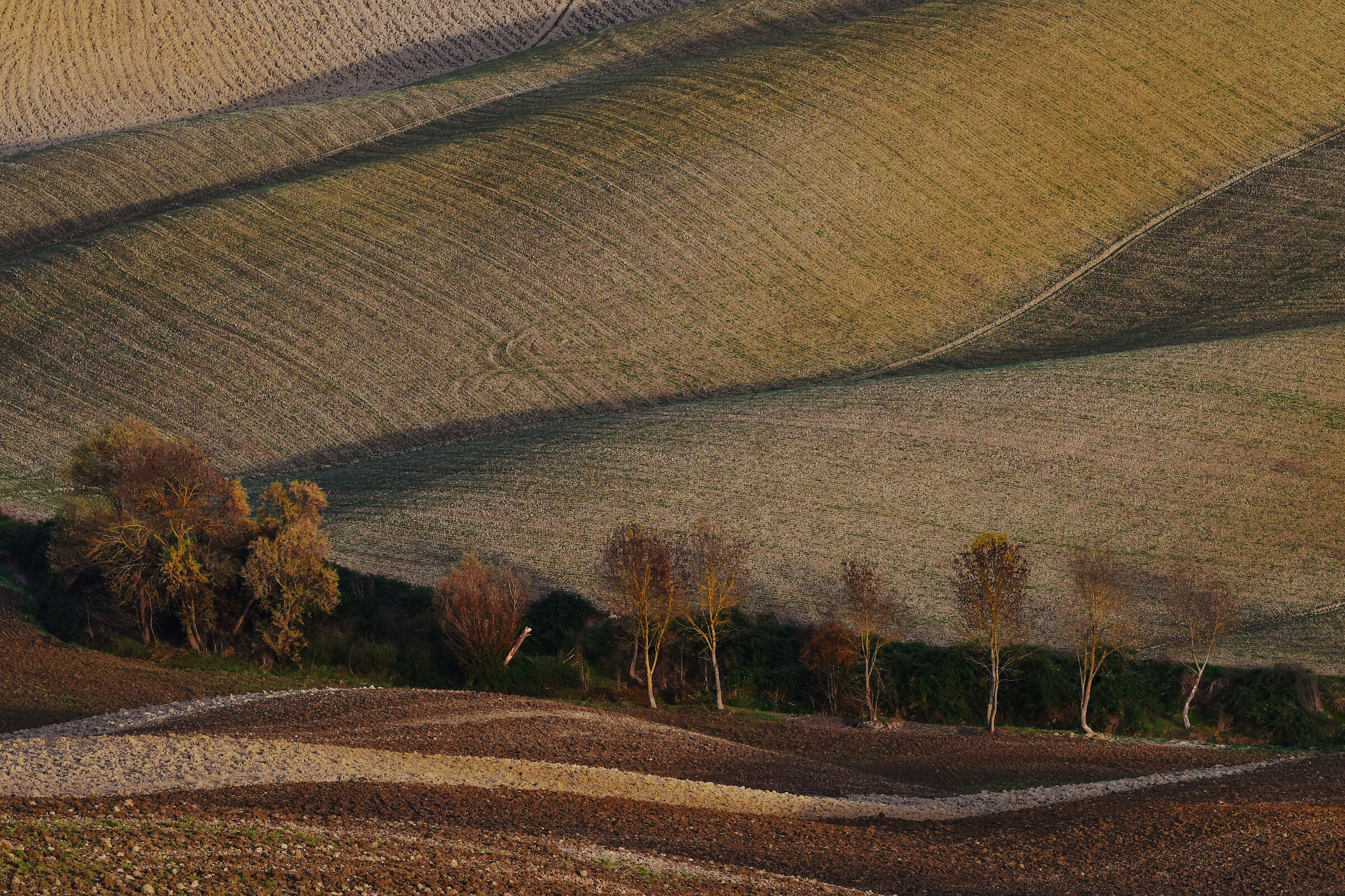 pezzeti di Toscana.