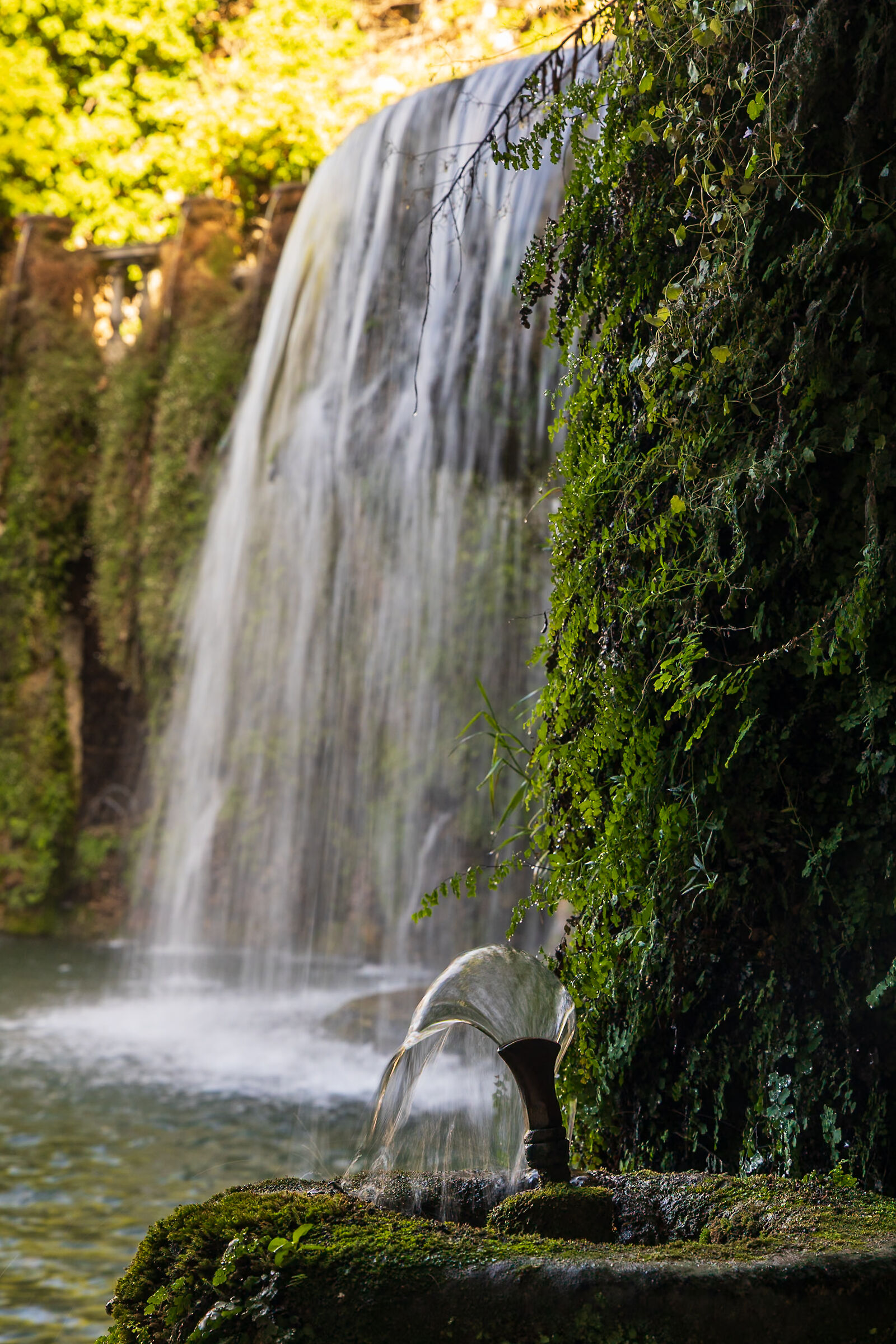 La Fontana di Villa d'este da dietro