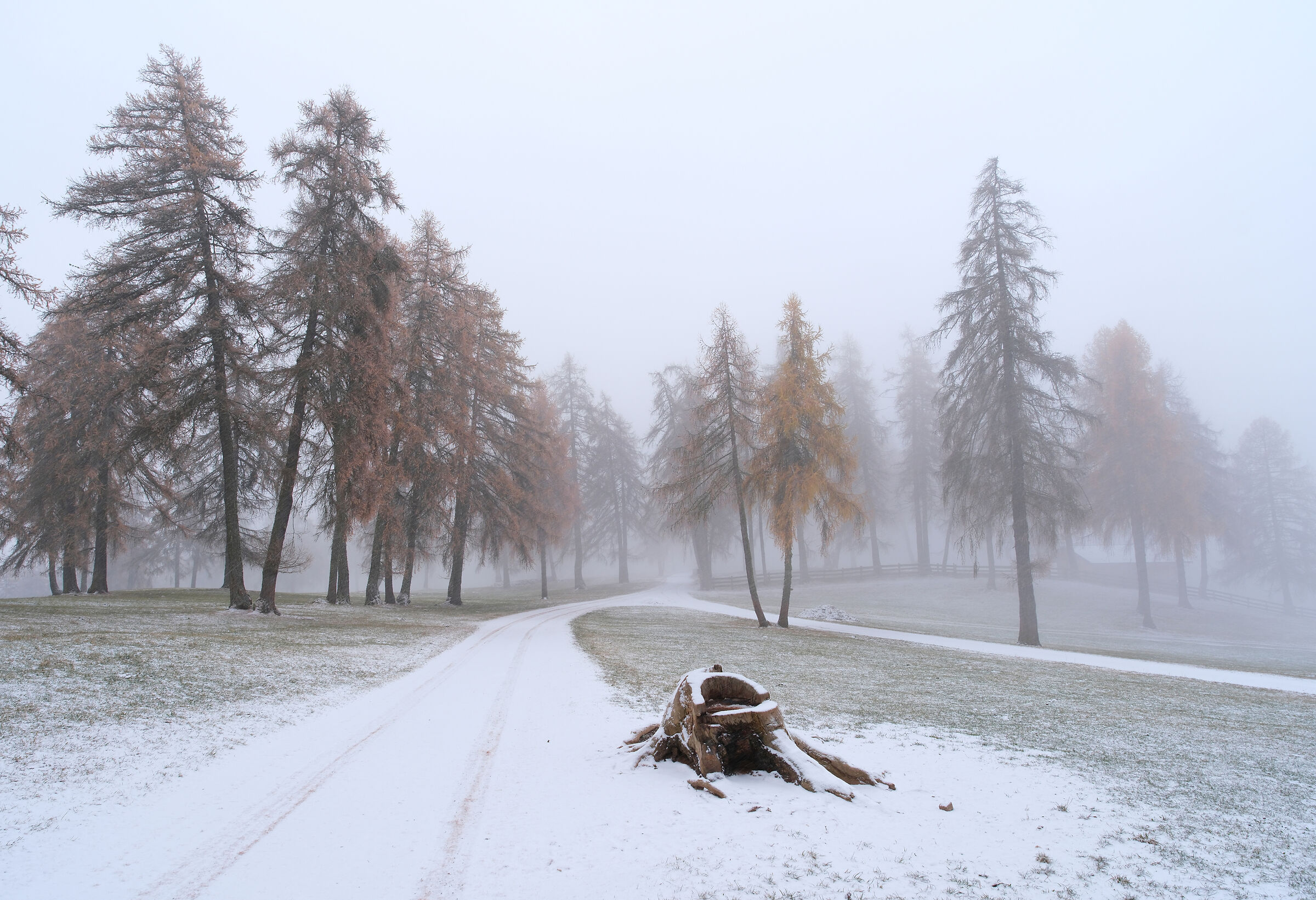 -inizio dell'inverno-