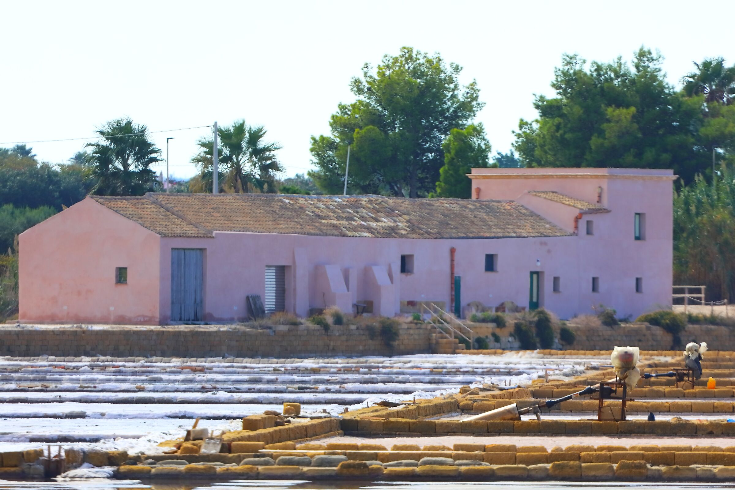 Saline 05 ottobre 2025 - 0179