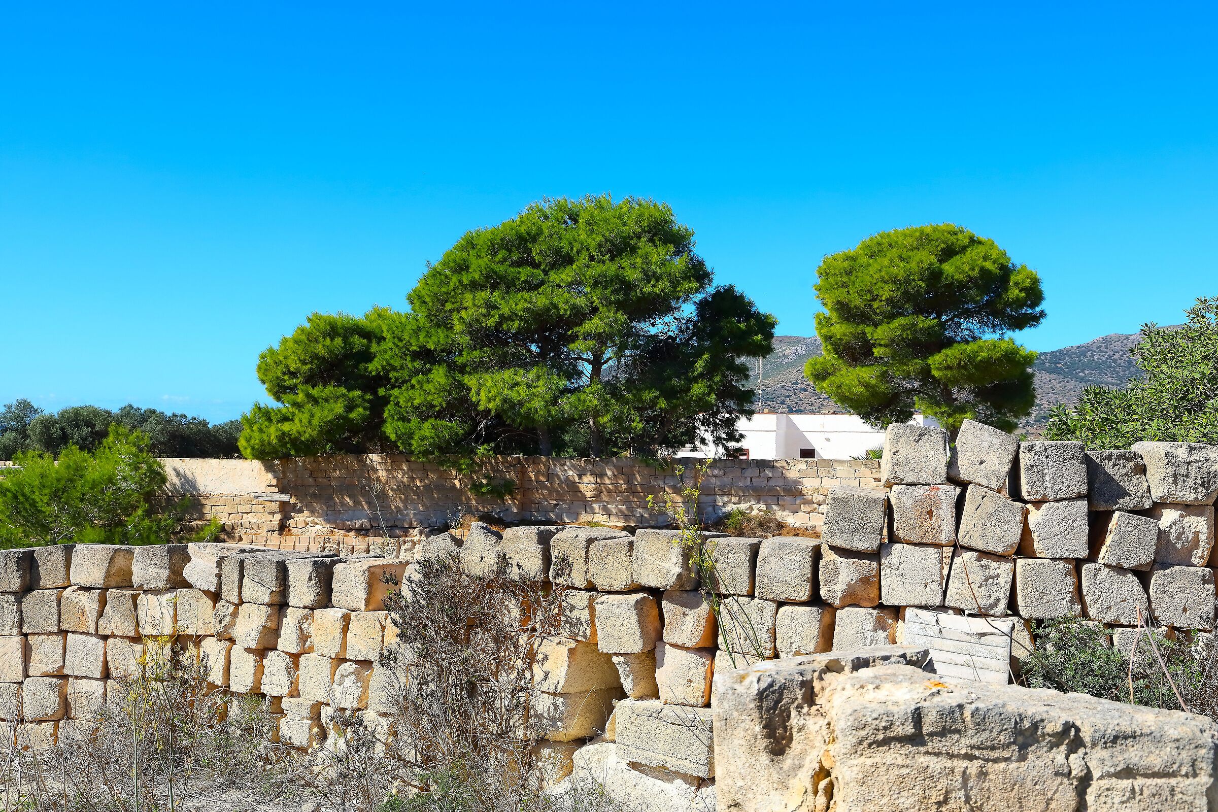 Fortificazioni 08 ottobre 2025 - 0529