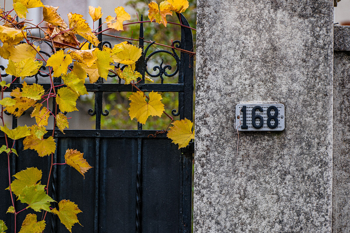 autunnale come un cancello ( 168)