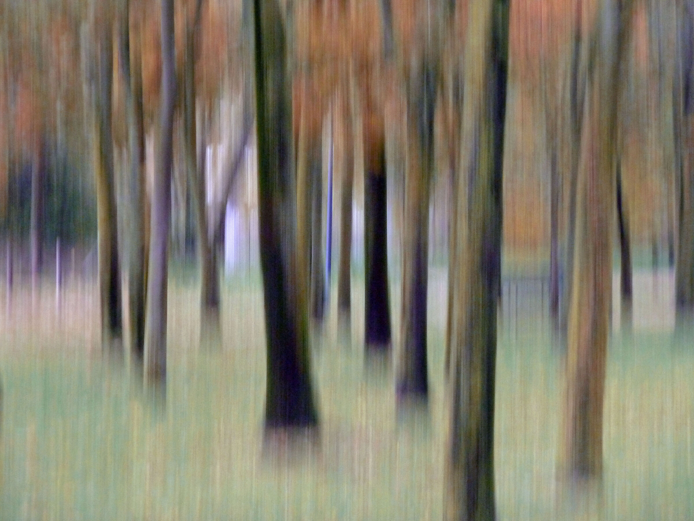 che cosa è successo all'autunno