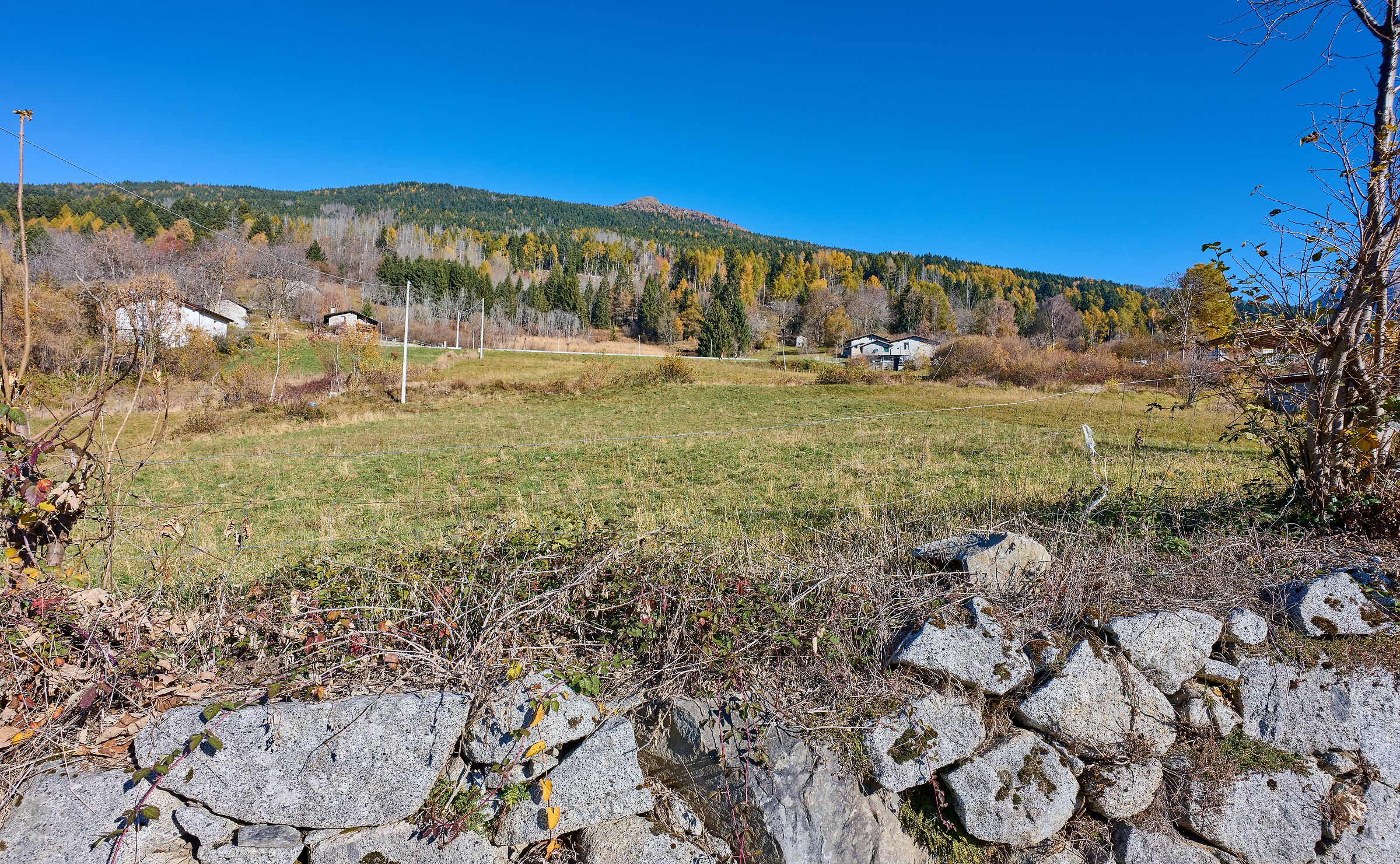 Autunno in ValSaviore