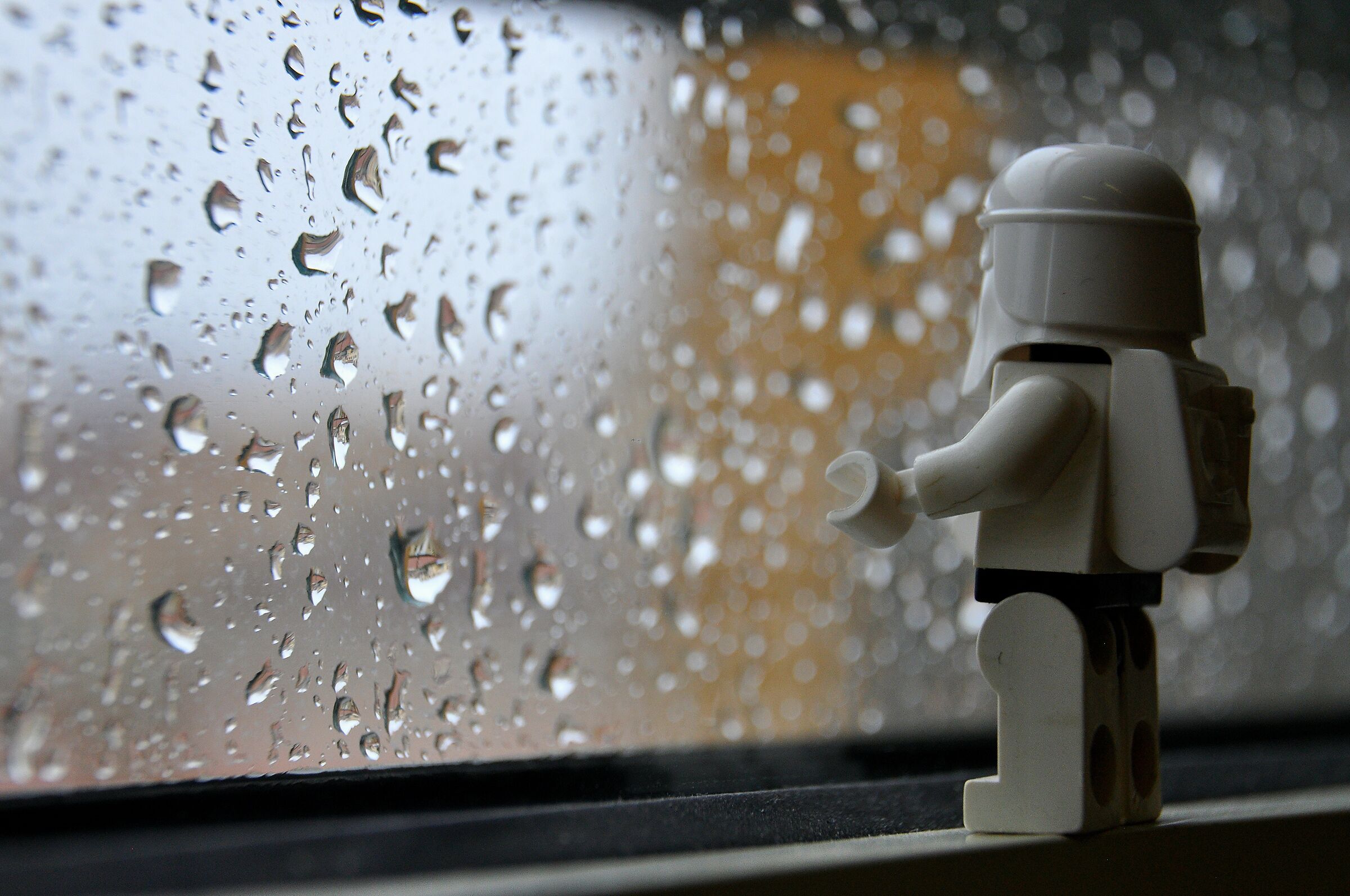 Untitled Photo