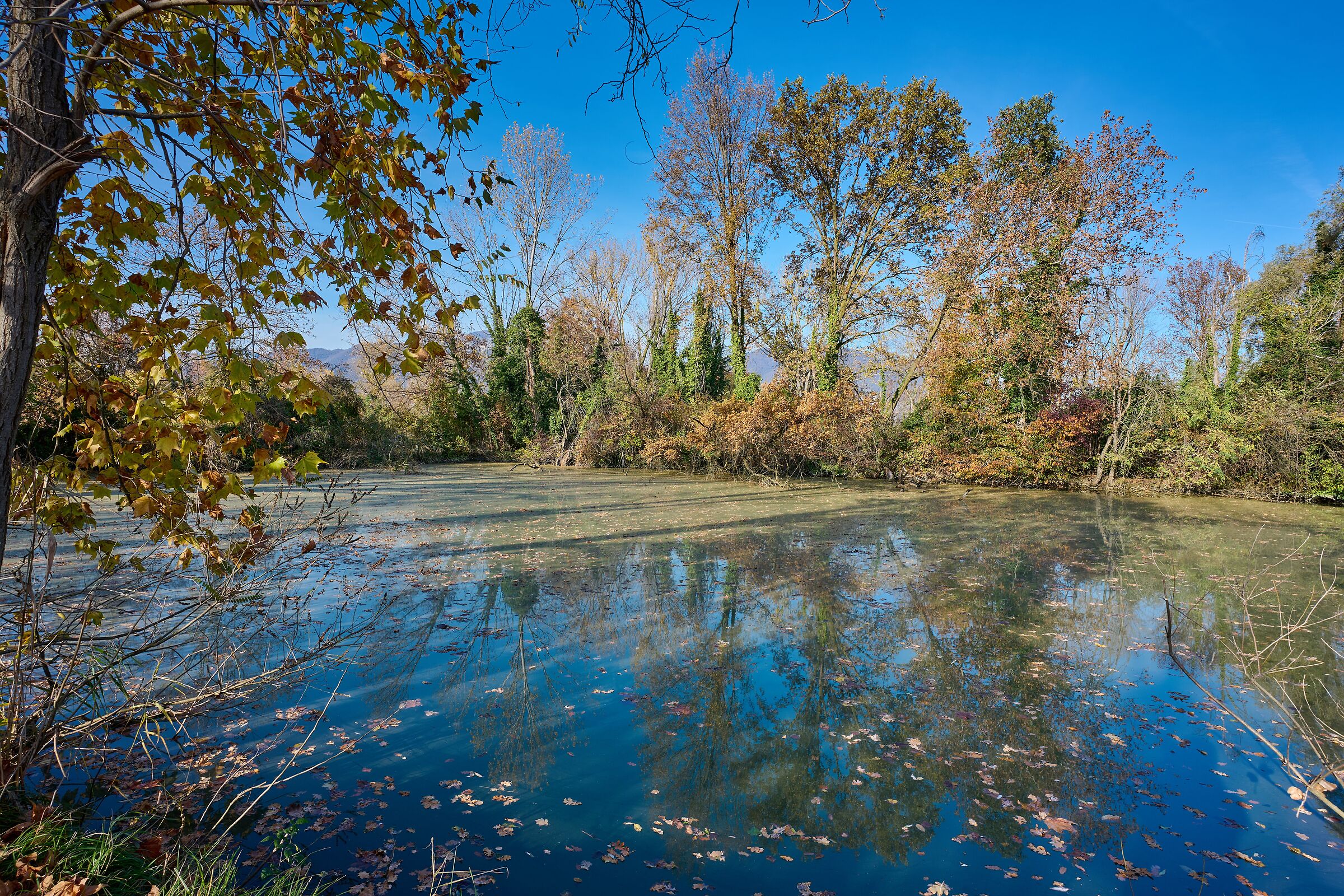 Riflessi d'autunno sul lago d'Iseo