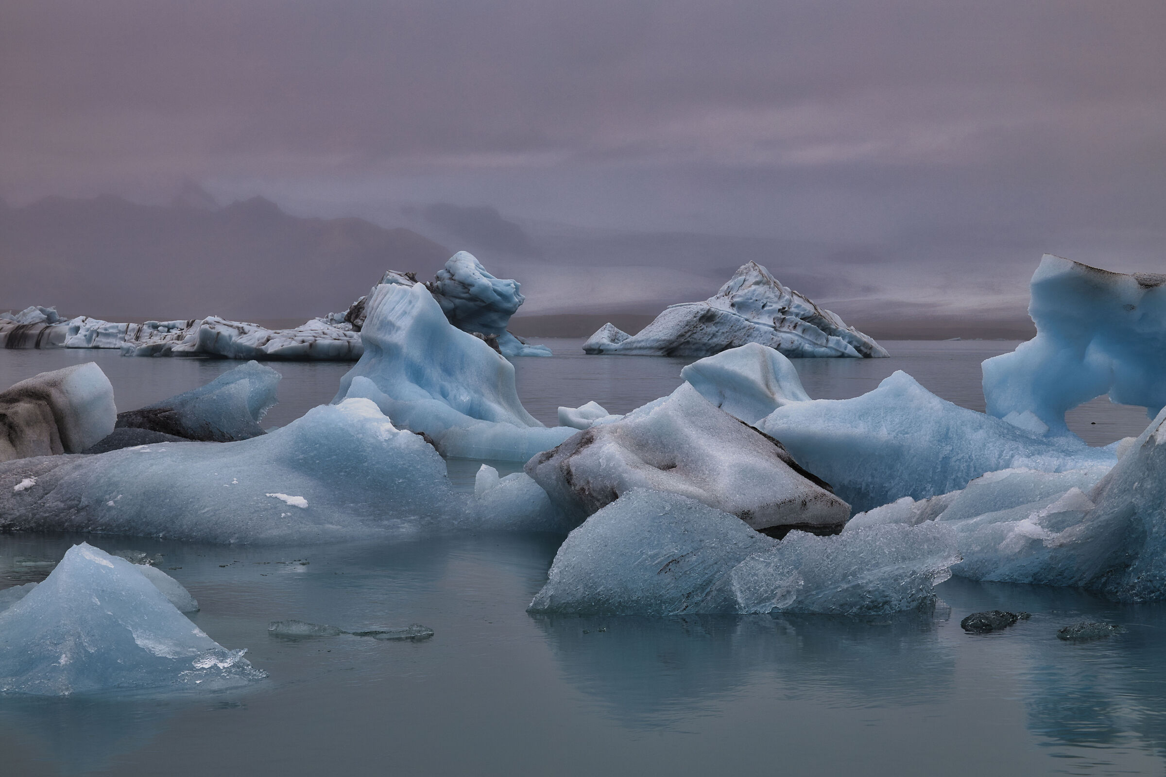 Polaretti a Jökullsárlón