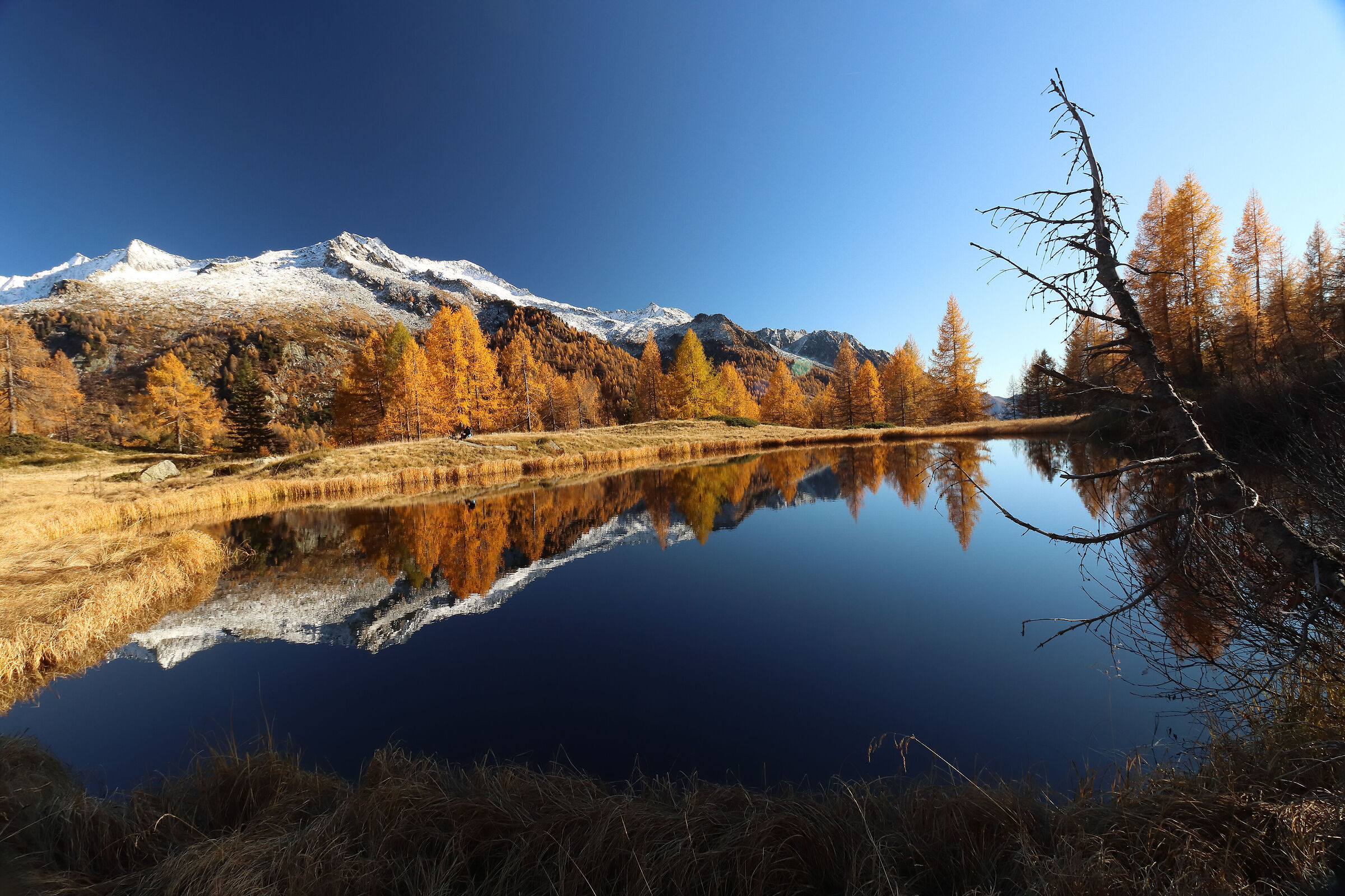 esplosioni d'autunno