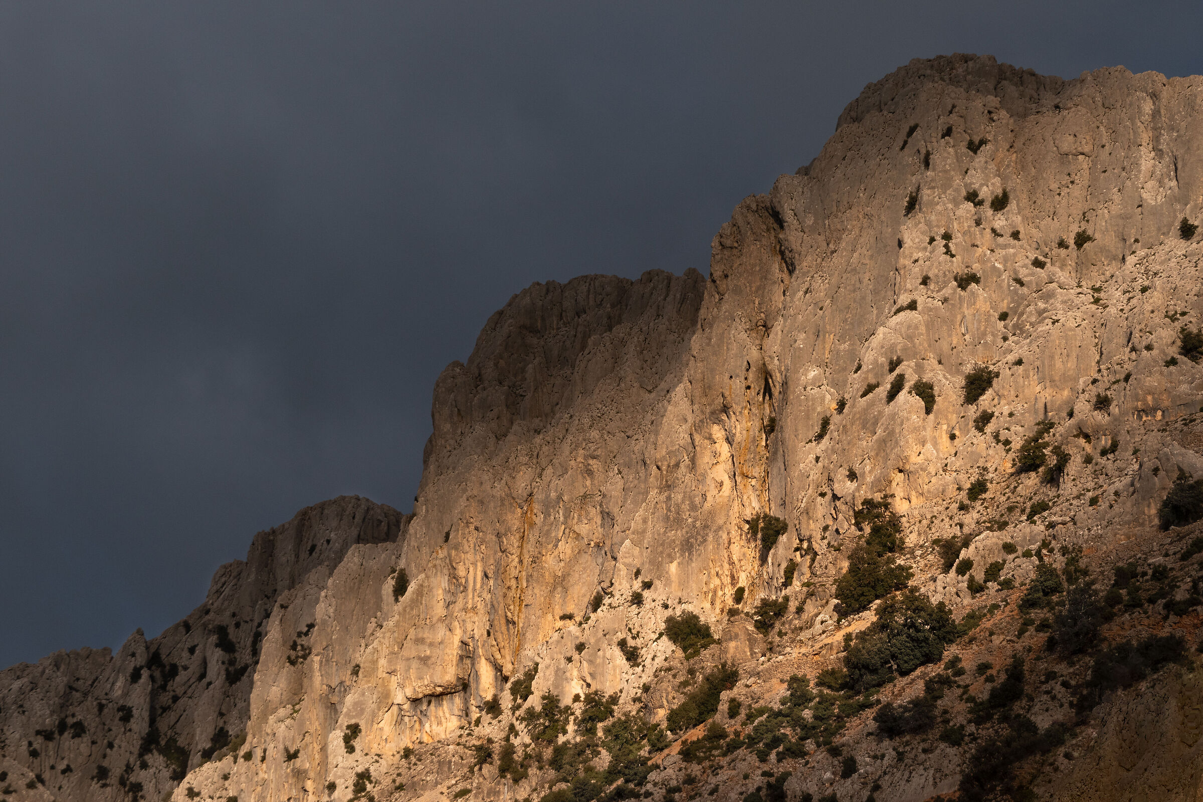 Carabidda e Ortu Caminu