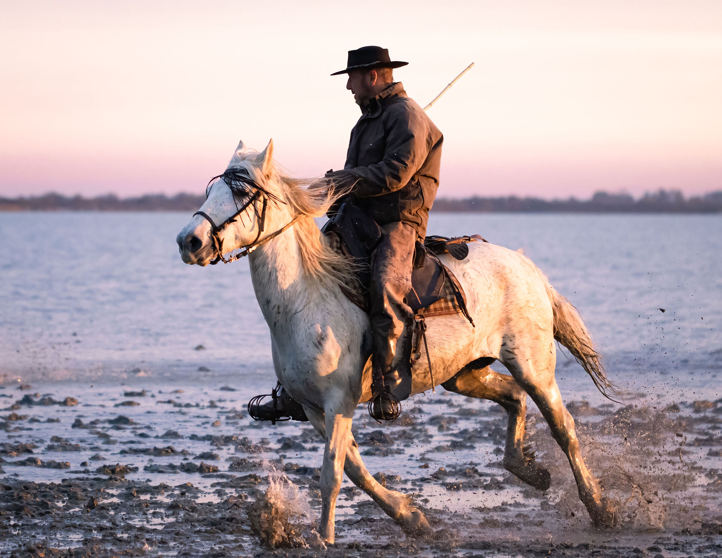 Les gardiens de la Camargue