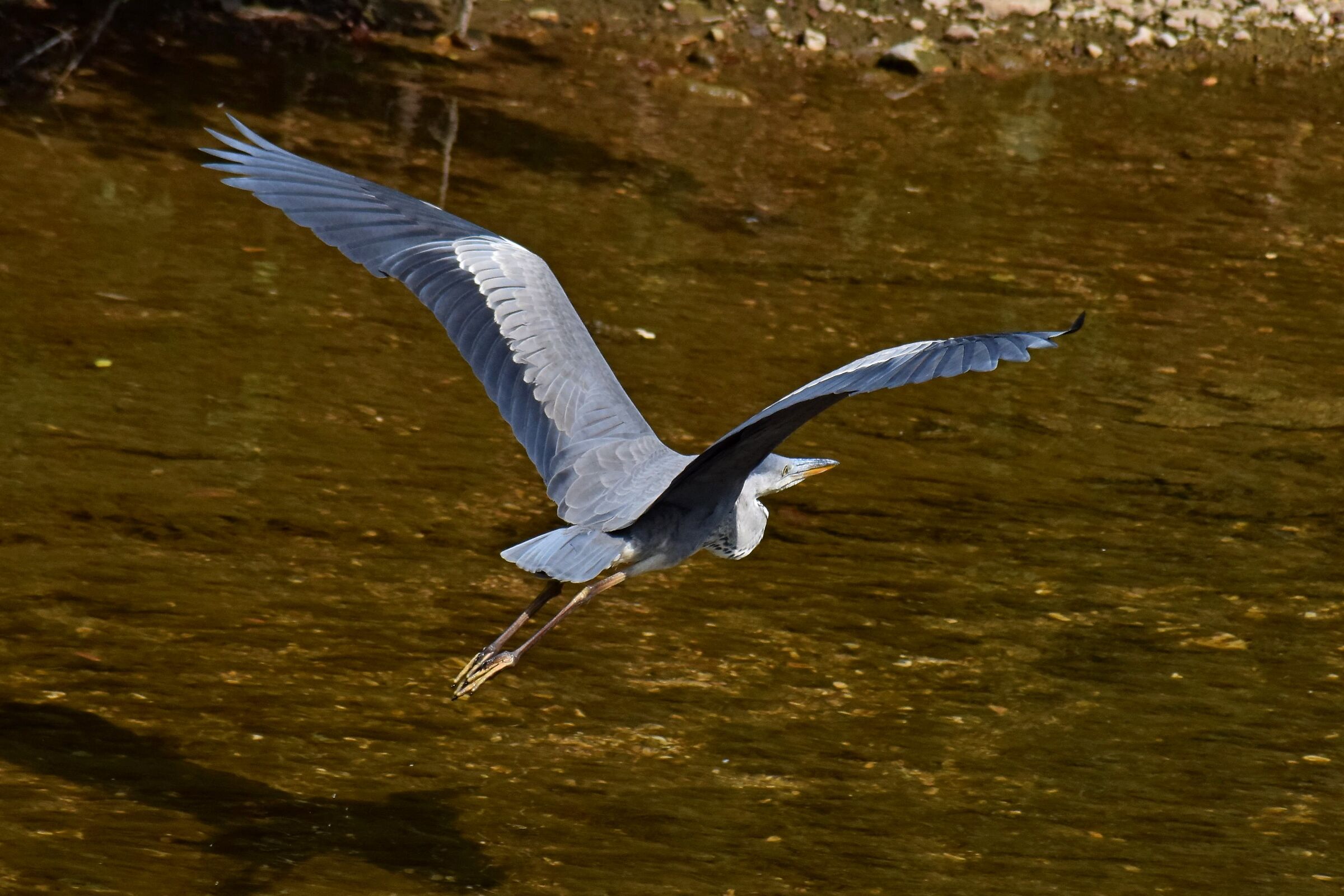 In flight