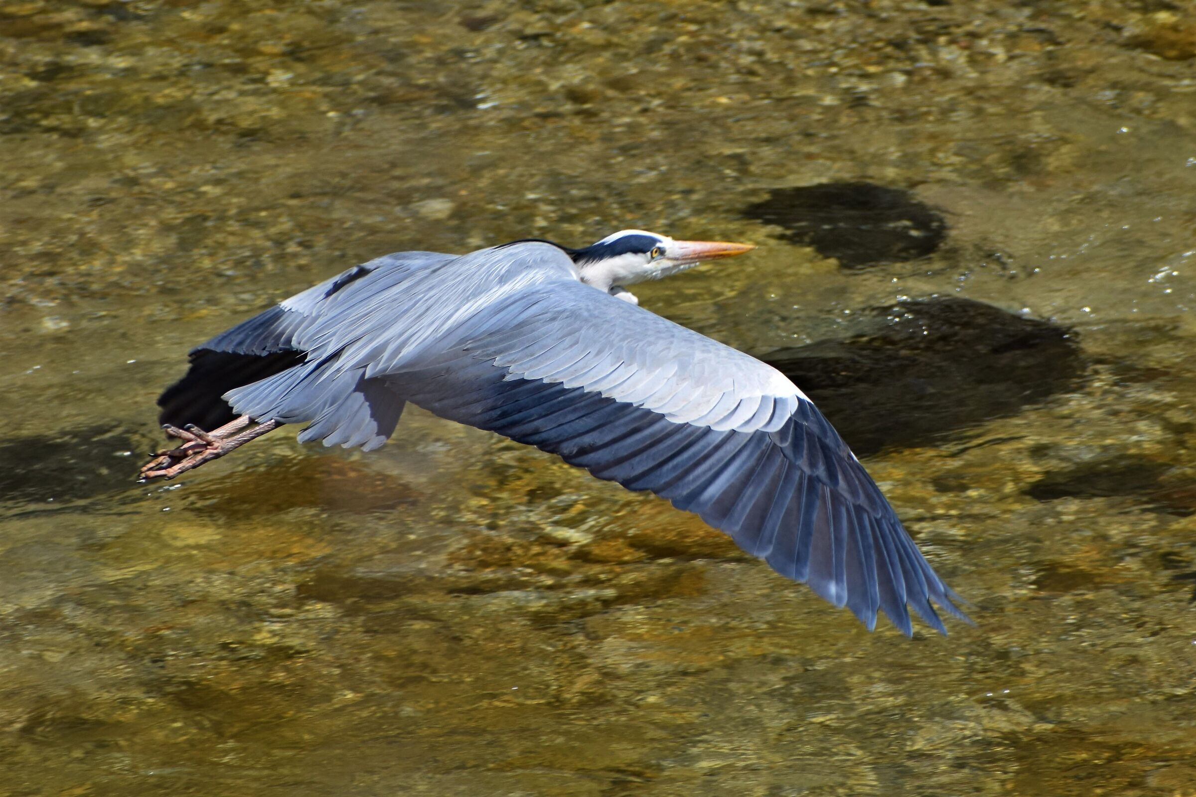 Low-flying flight