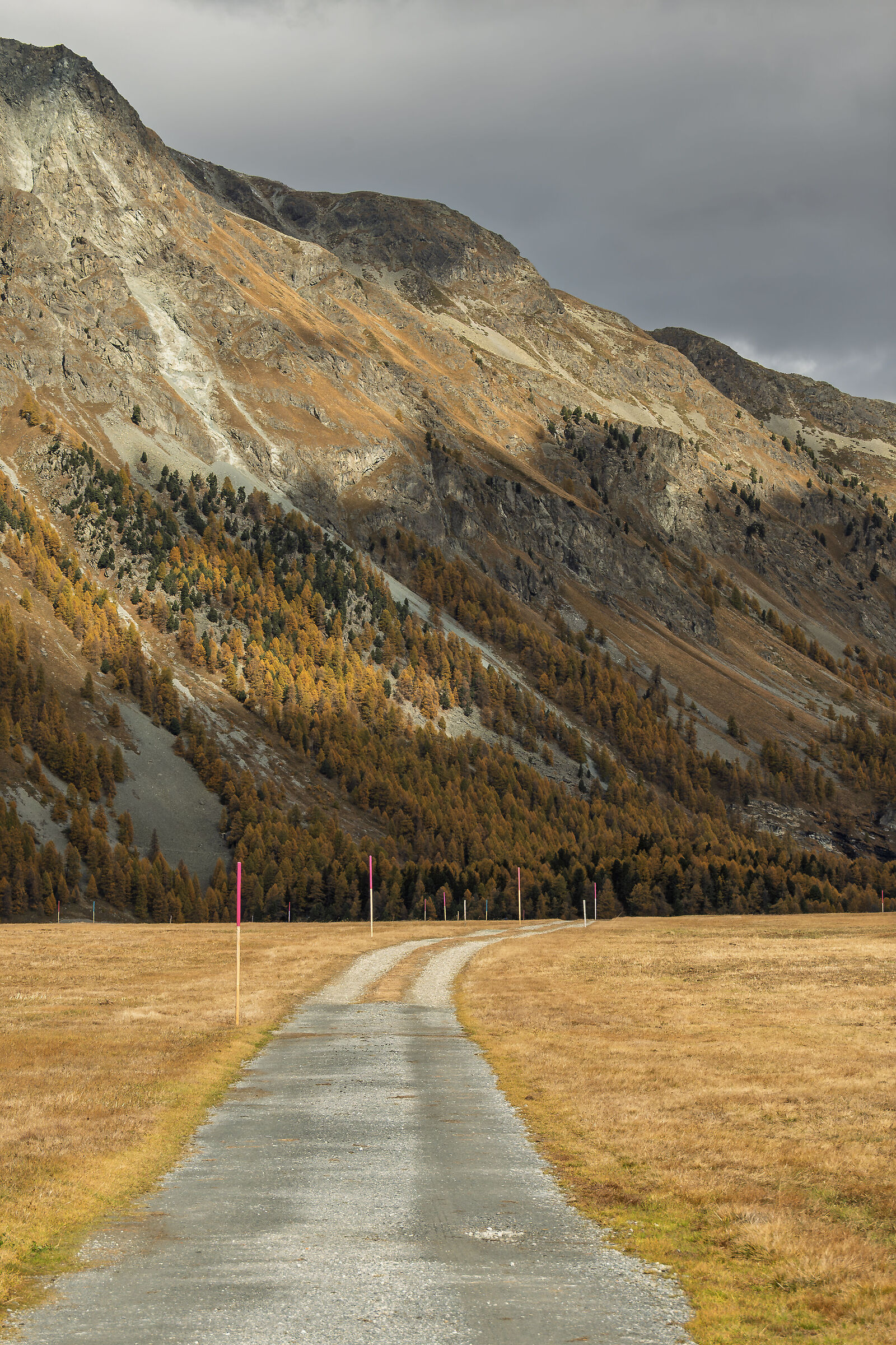 Yellow light path, Villagio Isola - Engadine