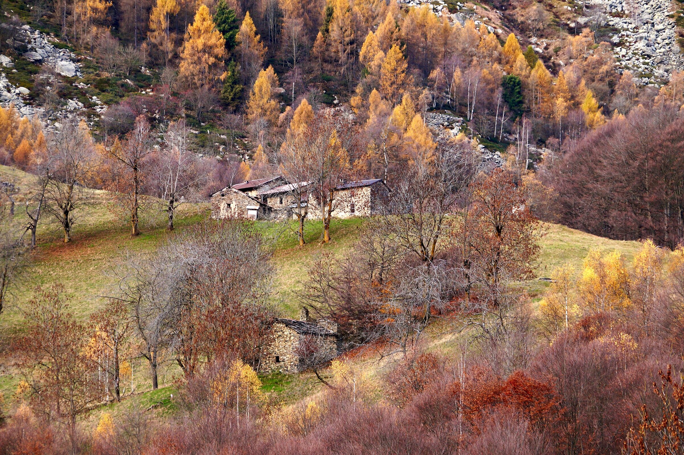 Towards the end of autumn