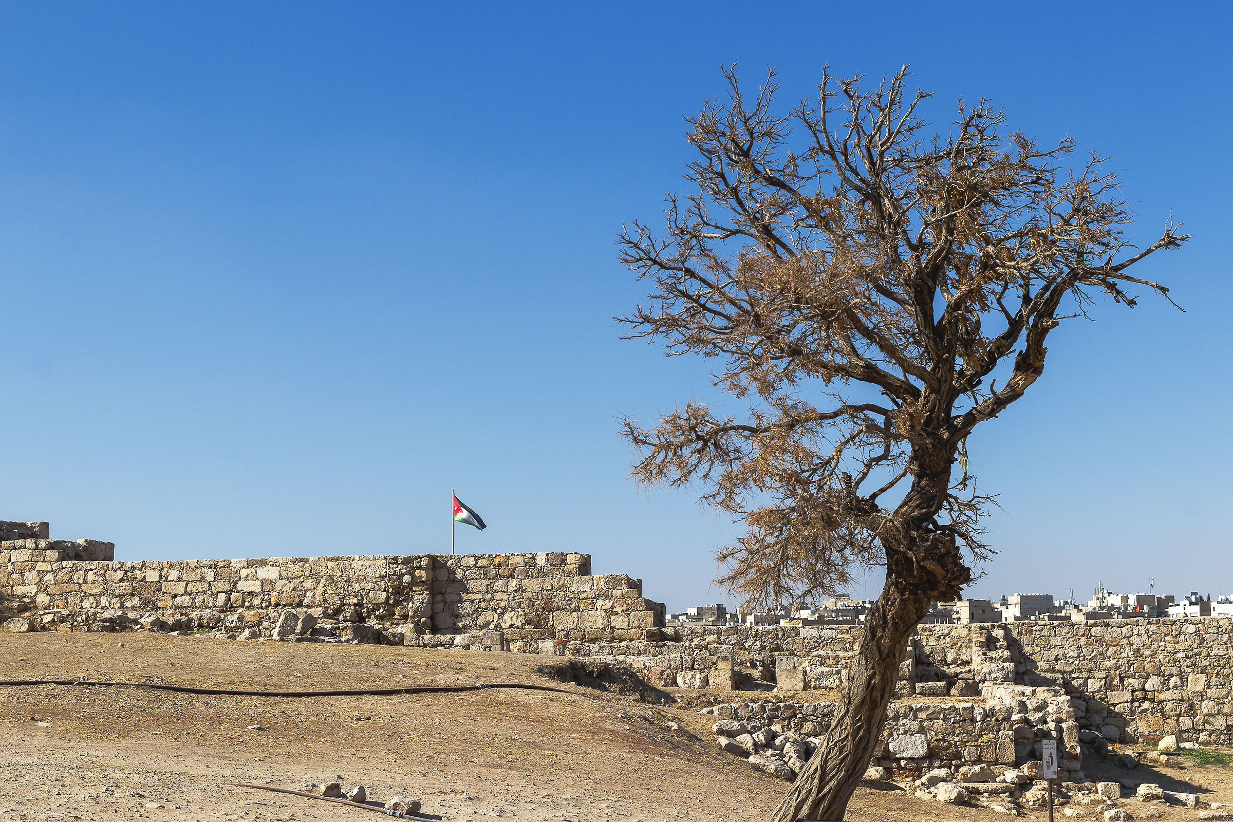 Amman - Giordania
