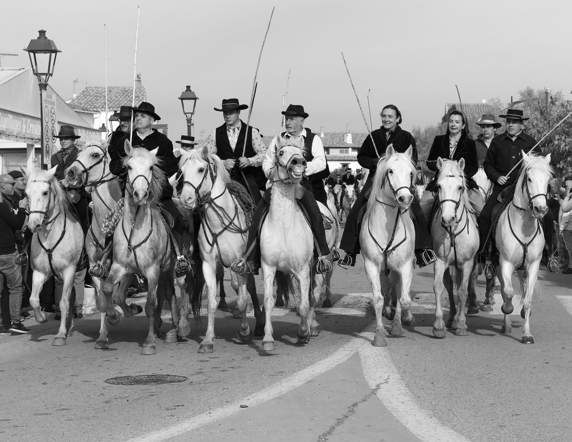 Men and horses of the Camargue