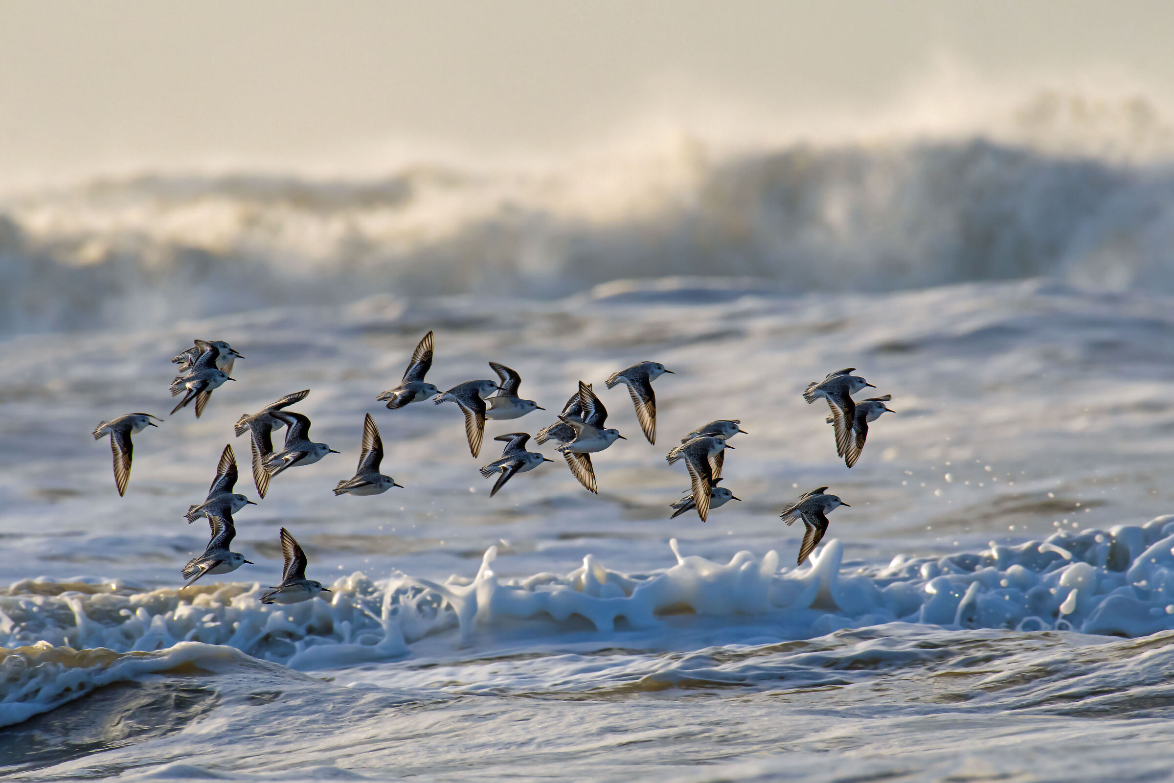Lungo la costa del Mare del Nord