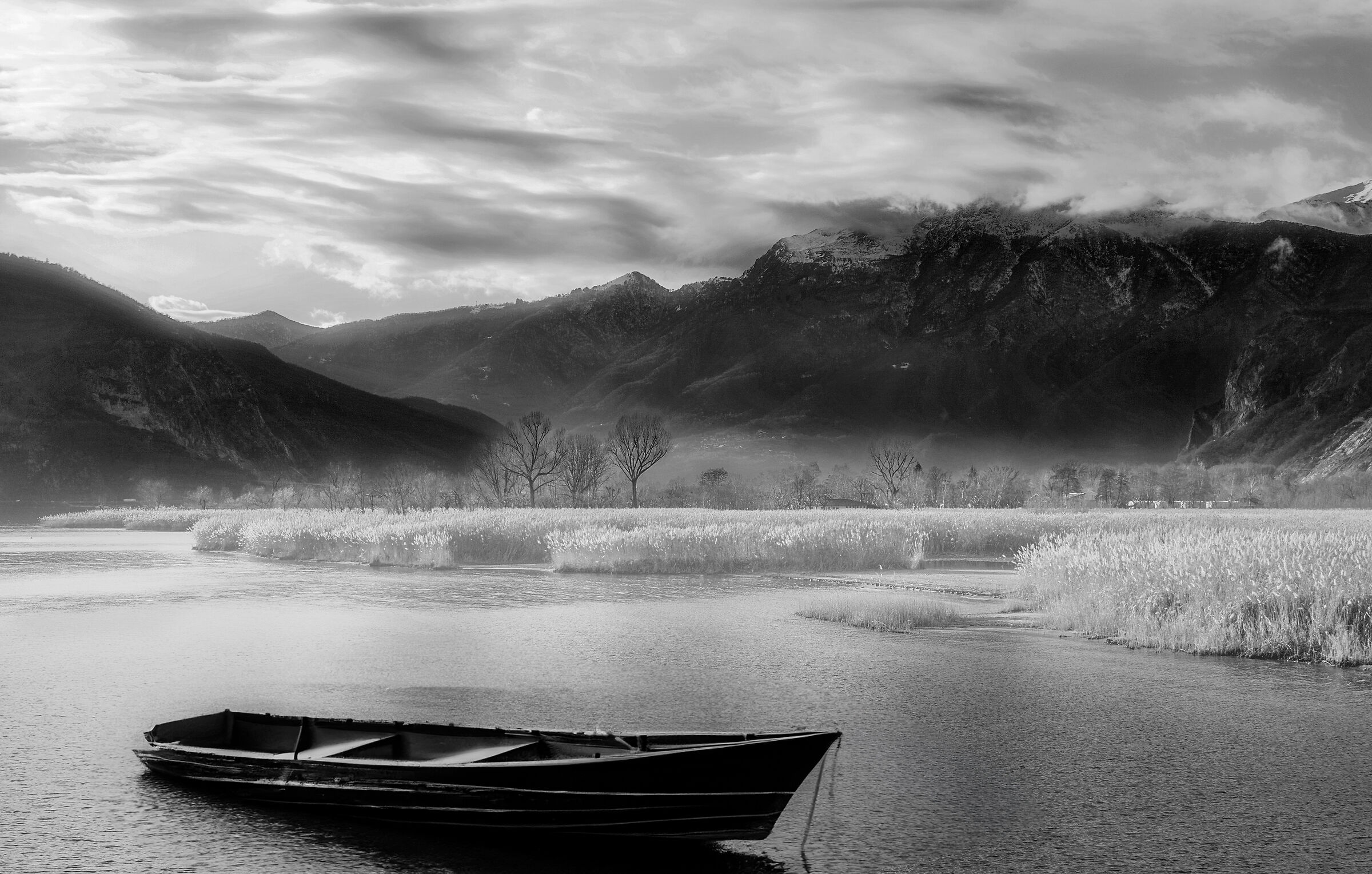 canneti/ lago Maggiore
