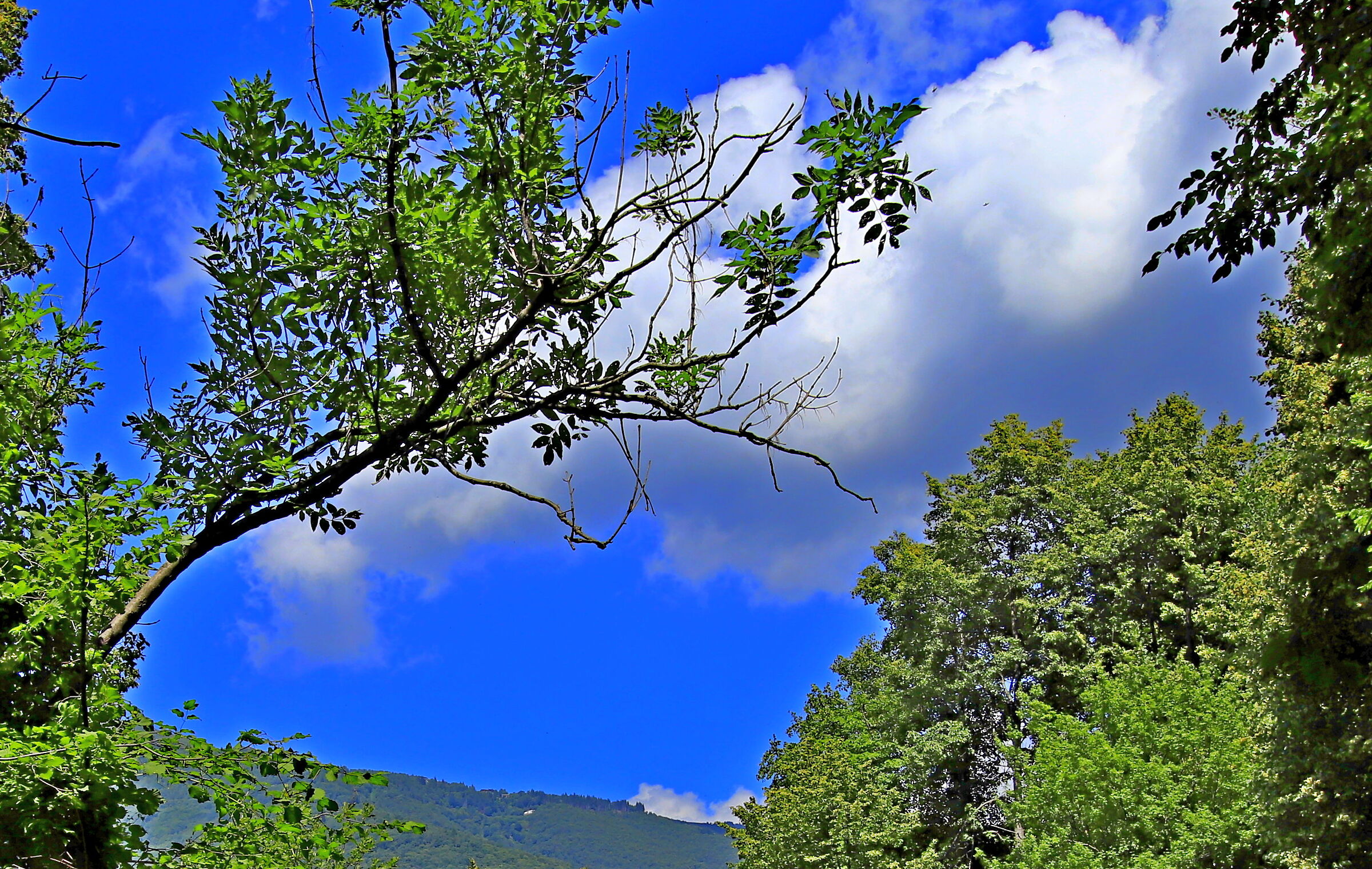 Increasingly blue