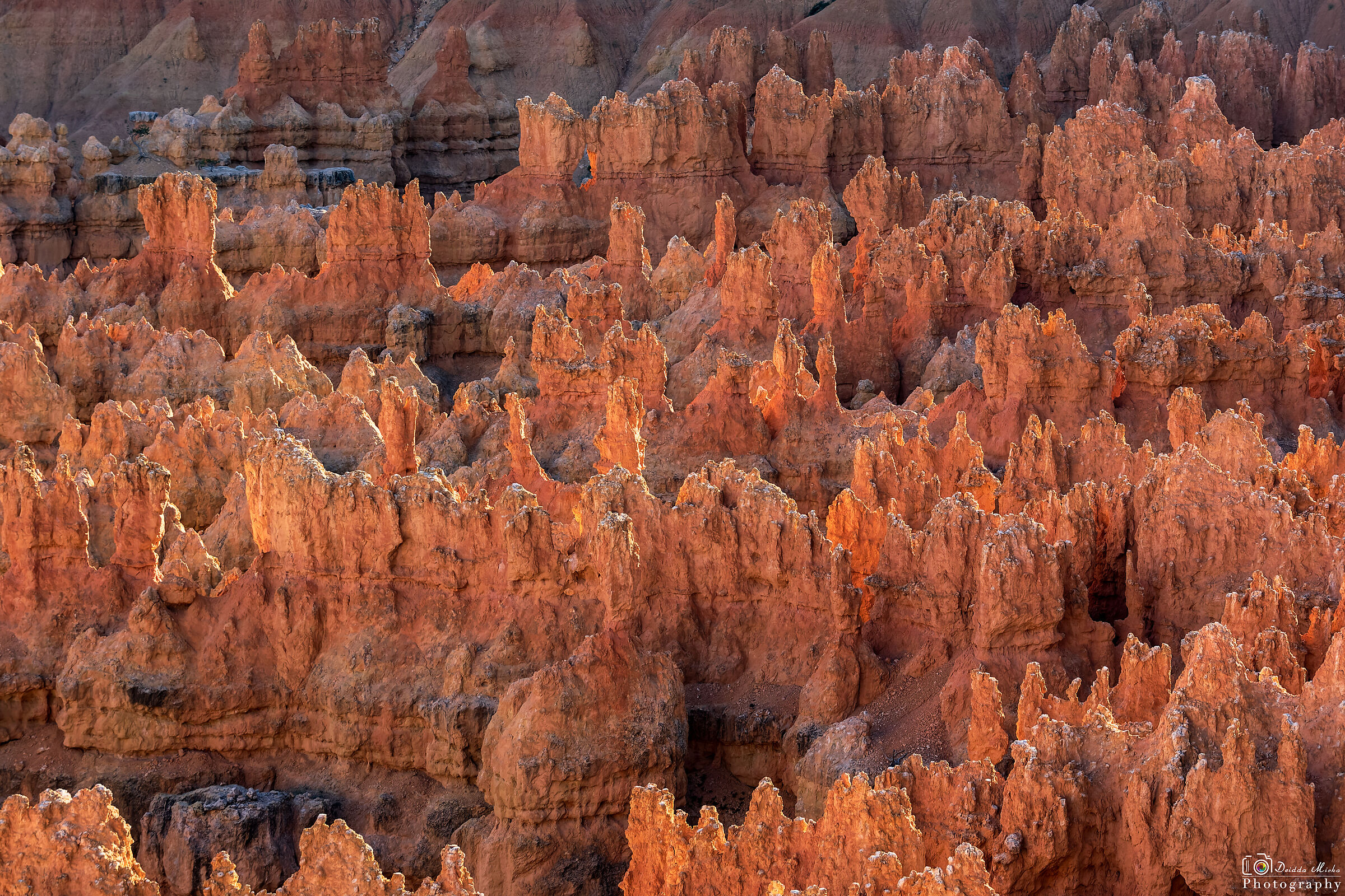 Bryce Canyon