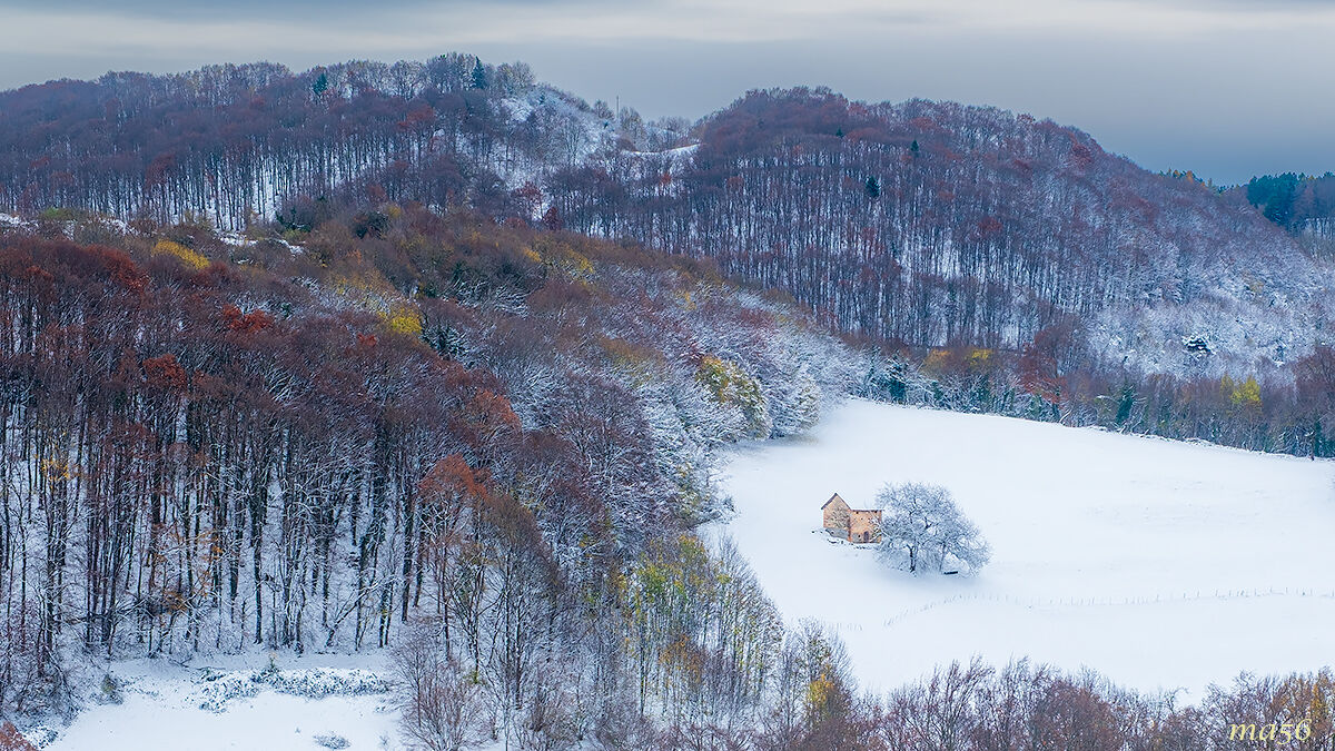 prima neve in Lessinia