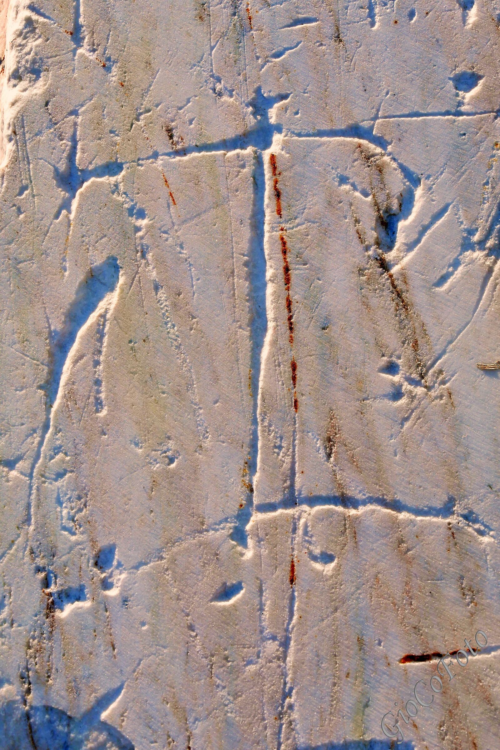 Il balzo del cacciatore