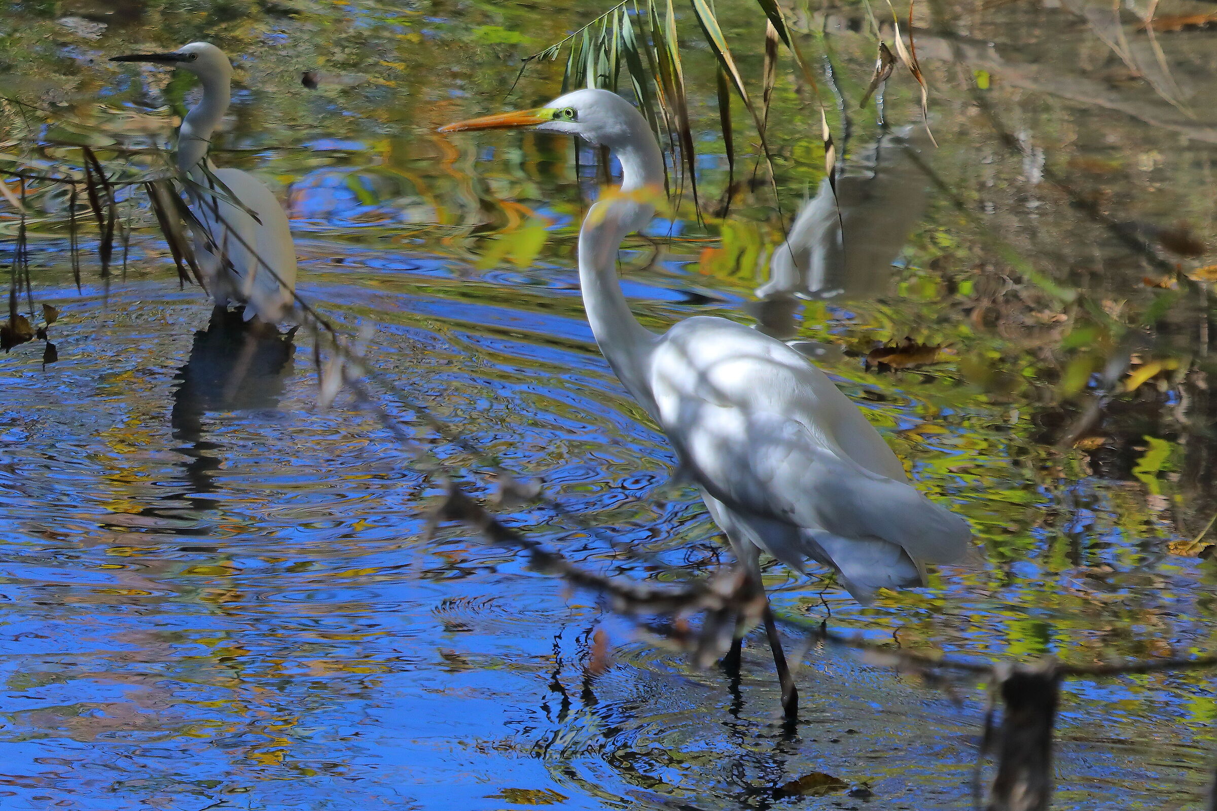 ABM 04 novembre 2025 - 0009