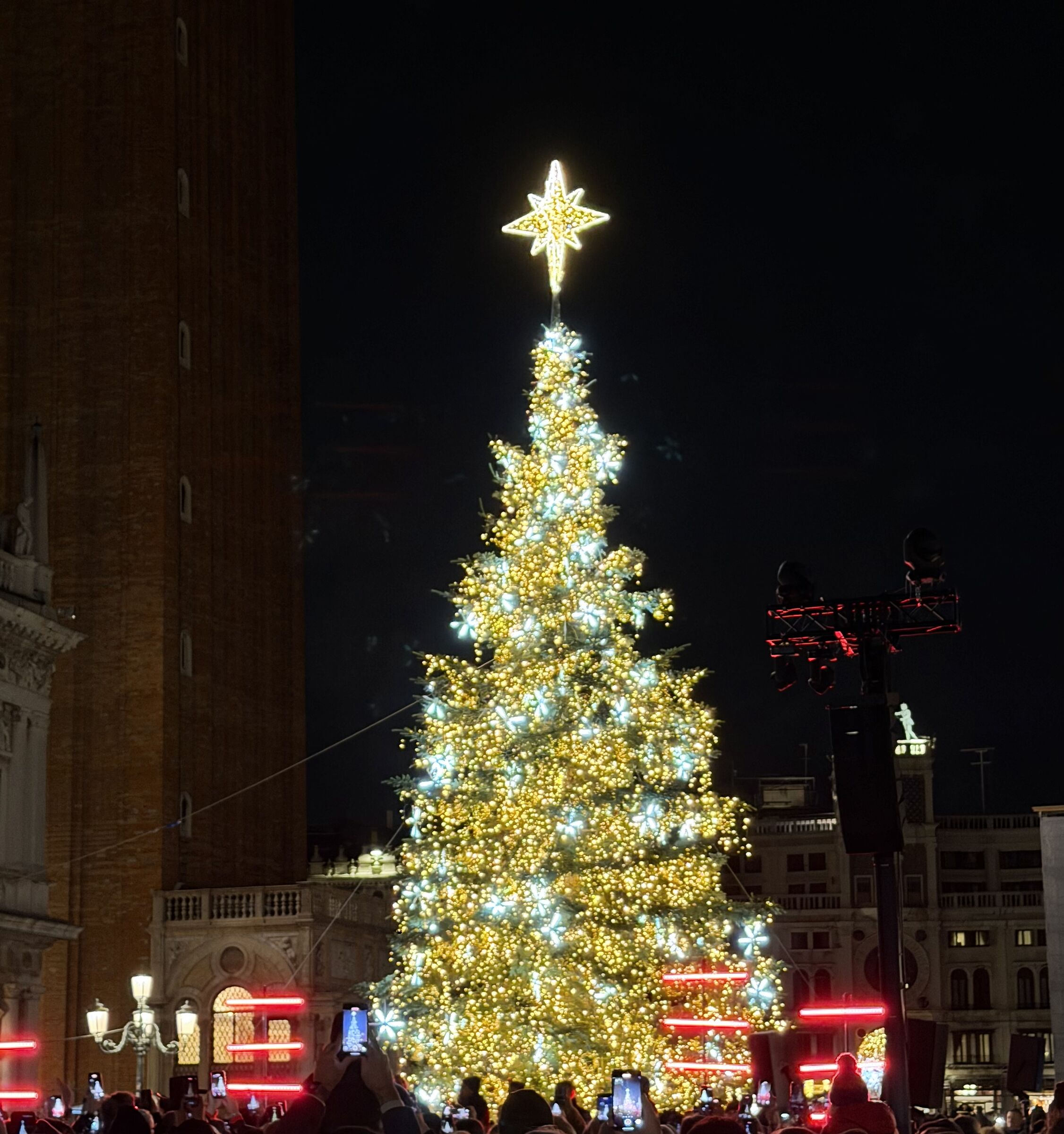 the lighting of the Christmas tree 2925 - S. Marco